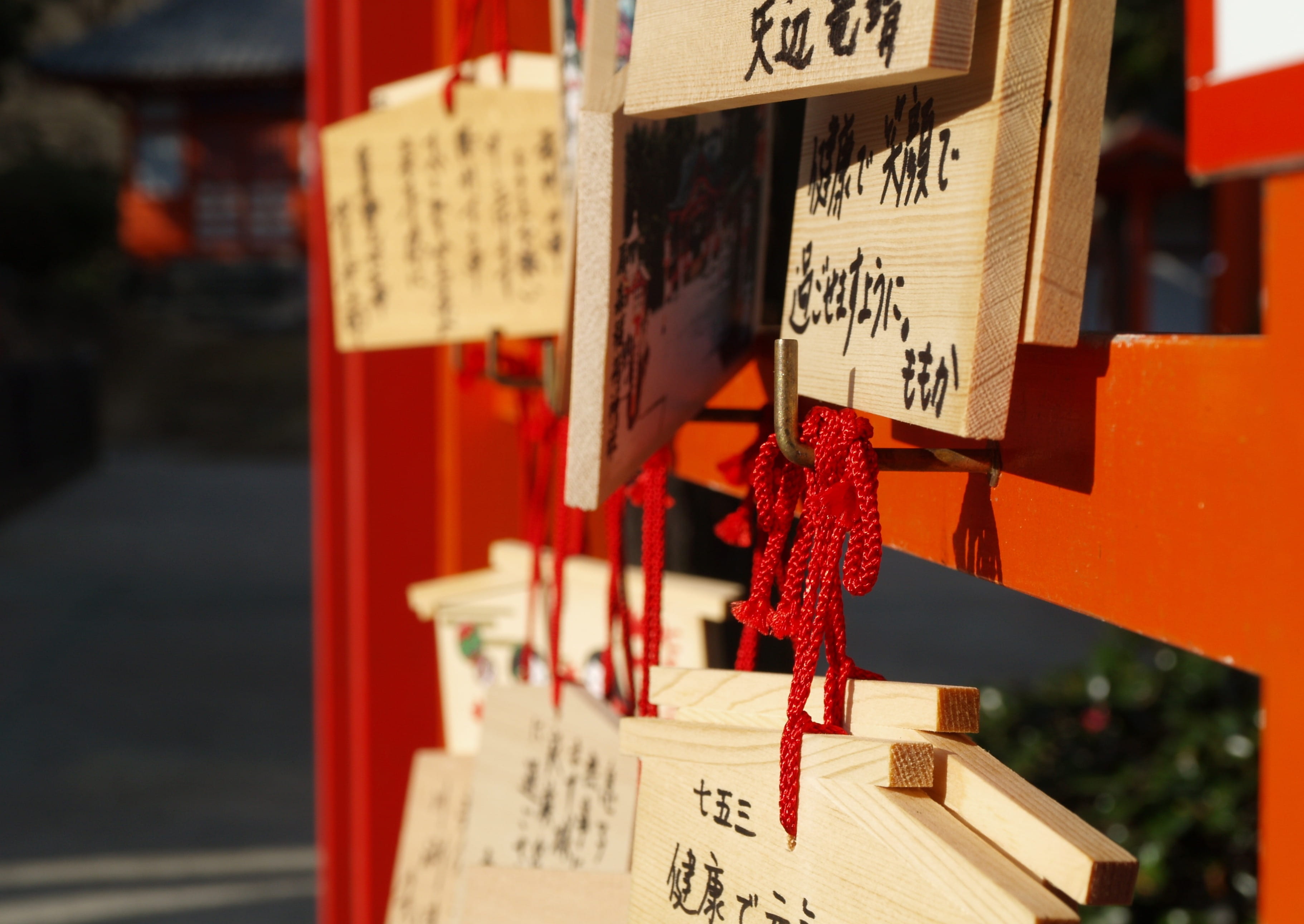 religious, communication, Temple, spirituality, religious symbols, close-up, script, non-western script, shrine, oita, hanging, text, focus on foreground, HD Wallpaper