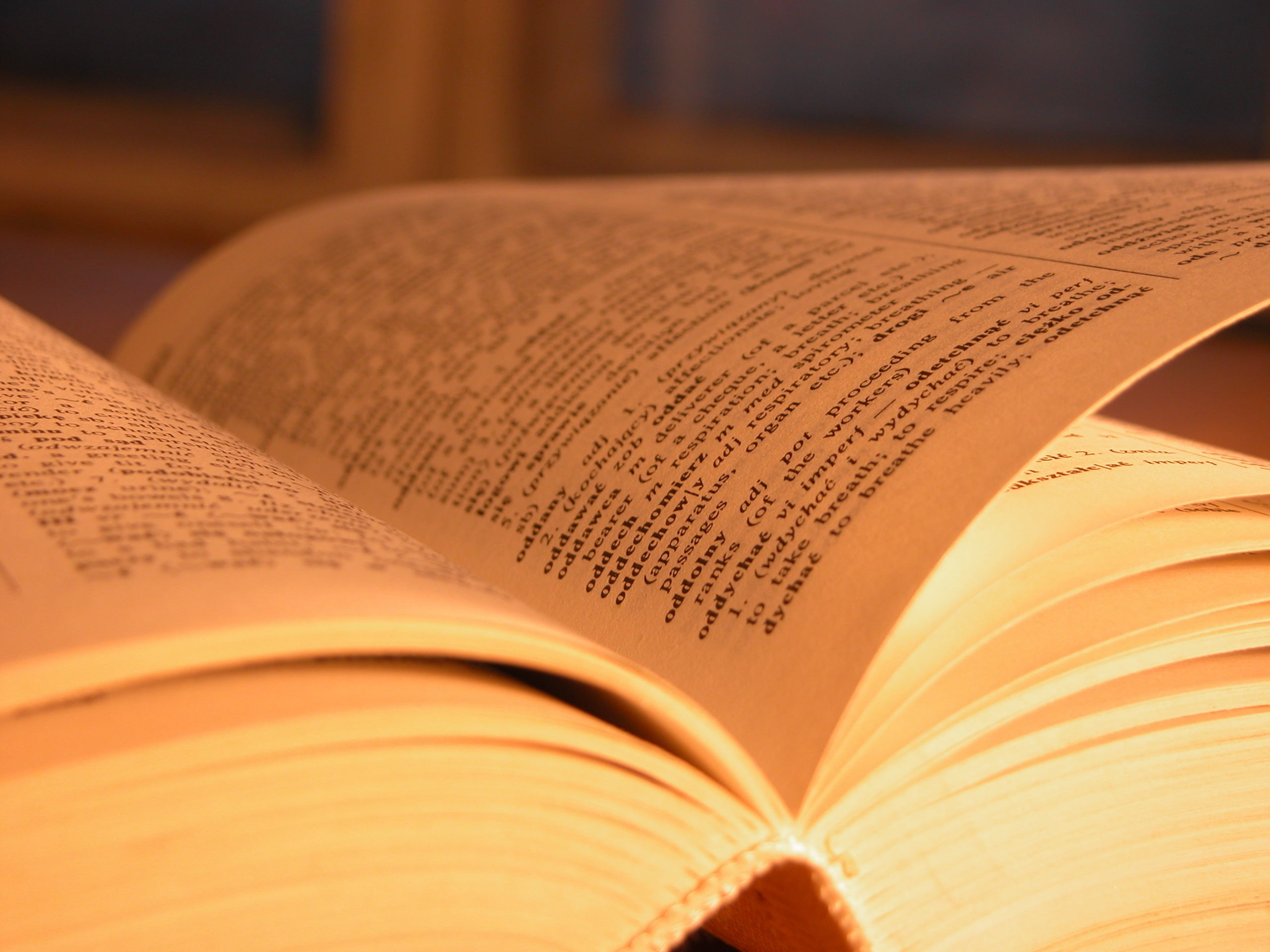 bible, literature, thick, pages, indoors, paper, architecture, antique, religion, close-up, text, no People, education, selective focus, document, spirituality, HD Wallpaper