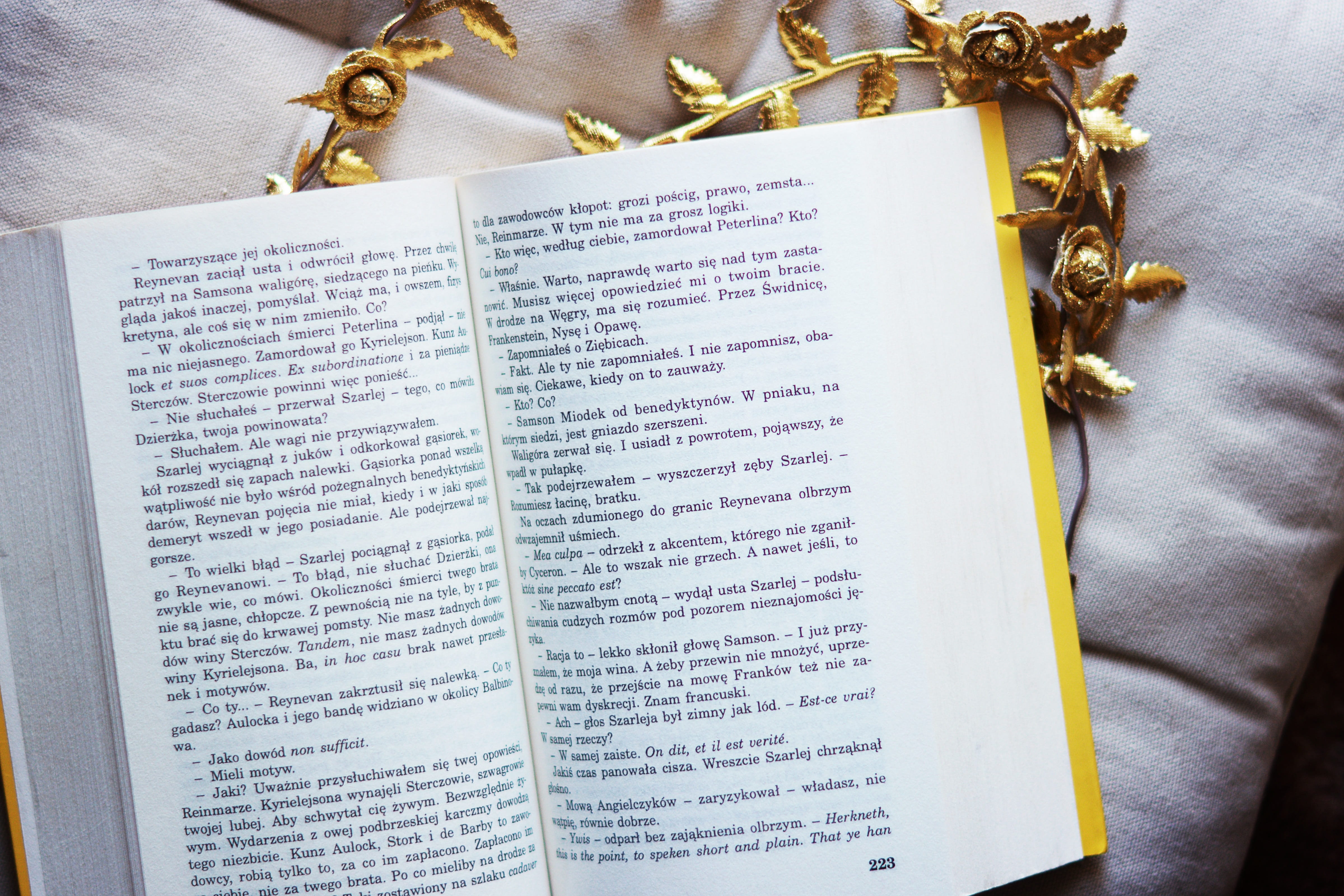western script, still life, directly above, paper, publication, communication, open book, text, reading, gold, close-up, entertainment, page, the passion of the christ, HD Wallpaper