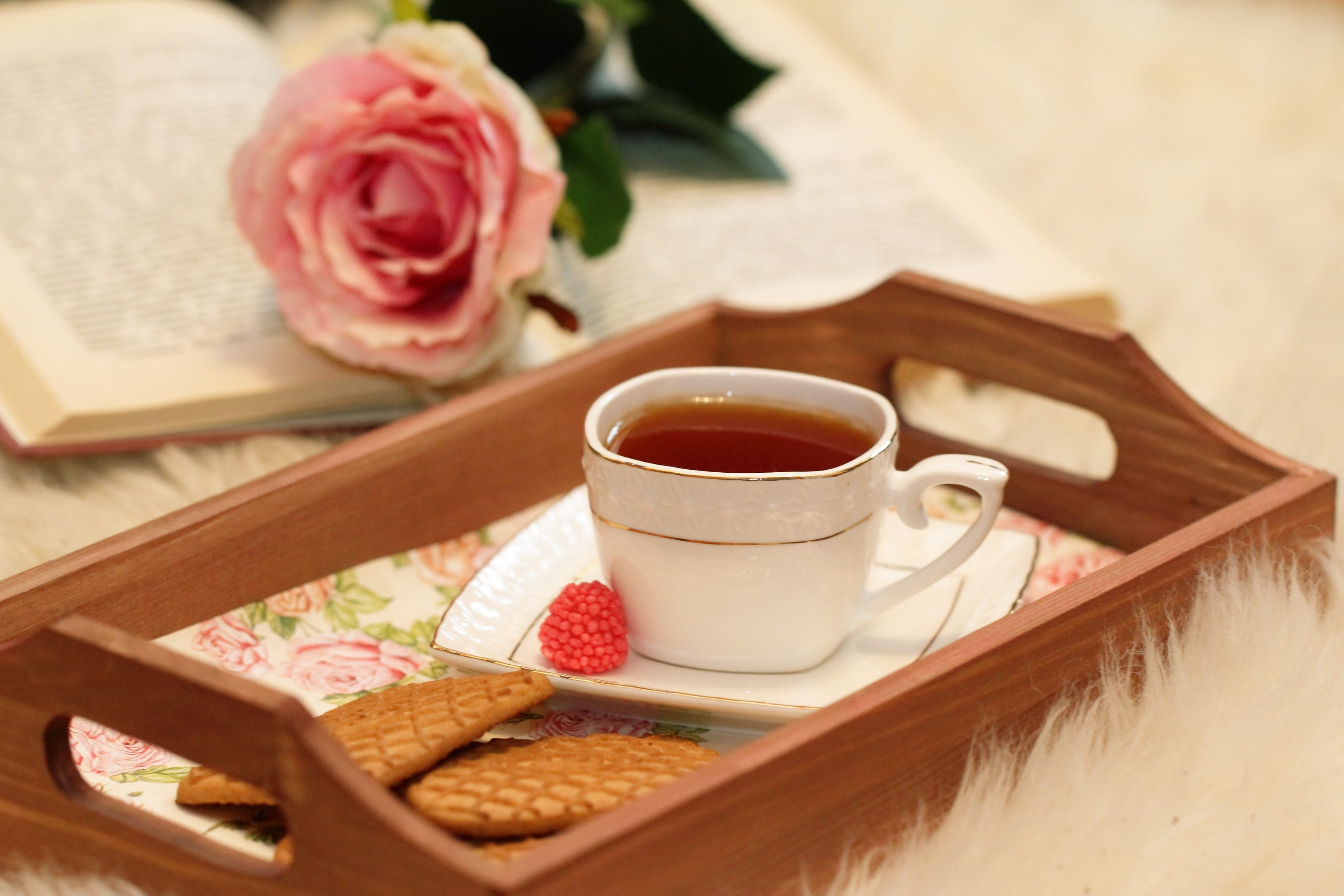 care, romantic, plant, flowering plant, valentine, tray, beverage, season, freshness, tea cup, cosy, coffee, love, person, flower head, tea, breakfast, HD Wallpaper