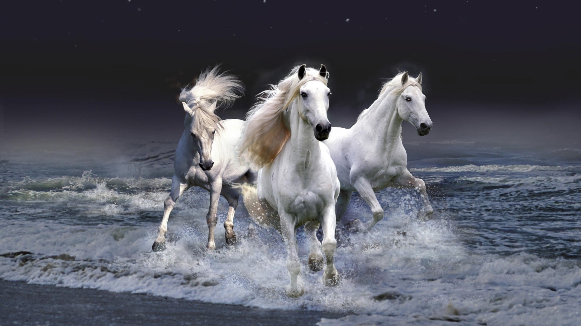 group of animals, motion, domestic animals, sea, nature, chinese, animal, no people, two animals, three, livestock, land, horses, white, outdoors, domestic, HD Wallpaper