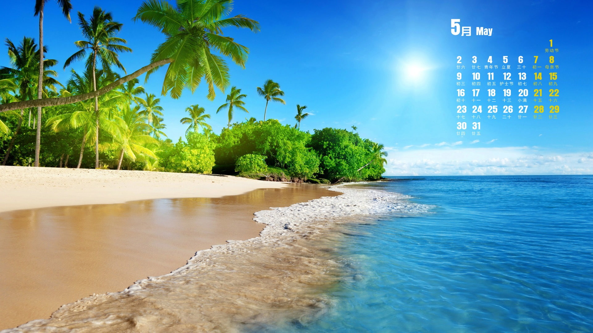 desktop, tree, plant, palm tree, themes, 1080P, may, architecture, nature, calendar, outdoors, tranquil scene, beauty in nature, tropical climate, HD Wallpaper