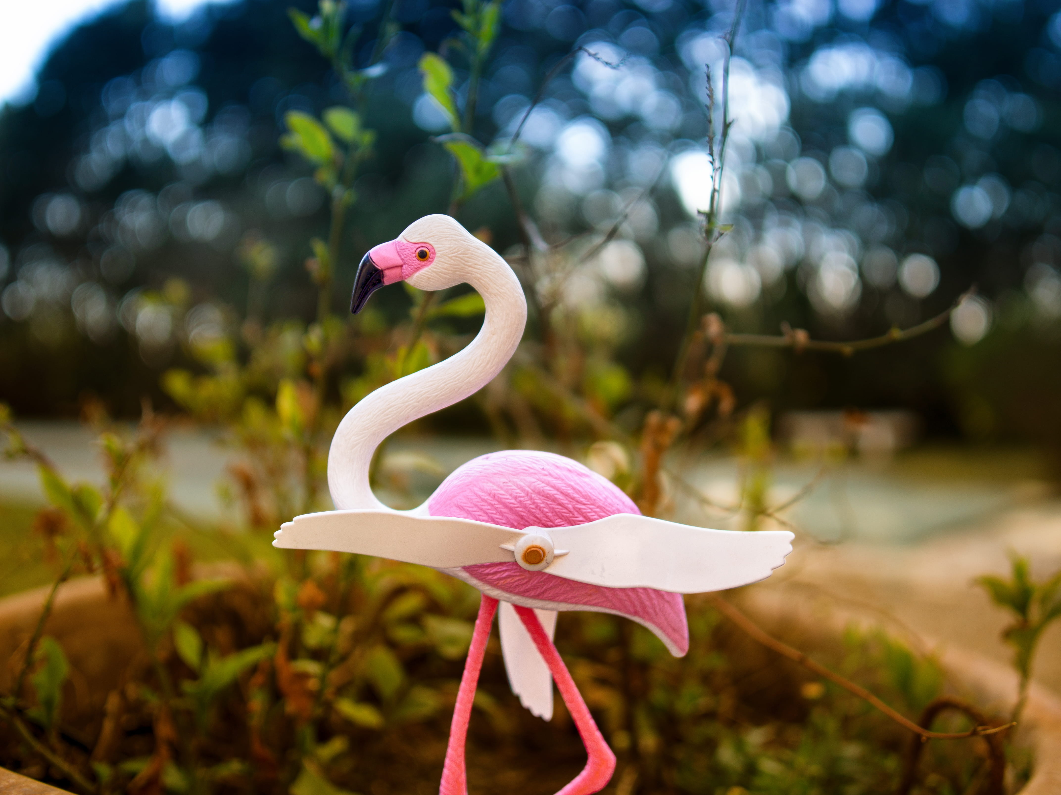 france, 4K, garden, animal themes, bird, beak, no people, decor, geranium, close-up, animal wildlife, animal neck, bluebird, flock, flamingo, animal, nature, HD Wallpaper