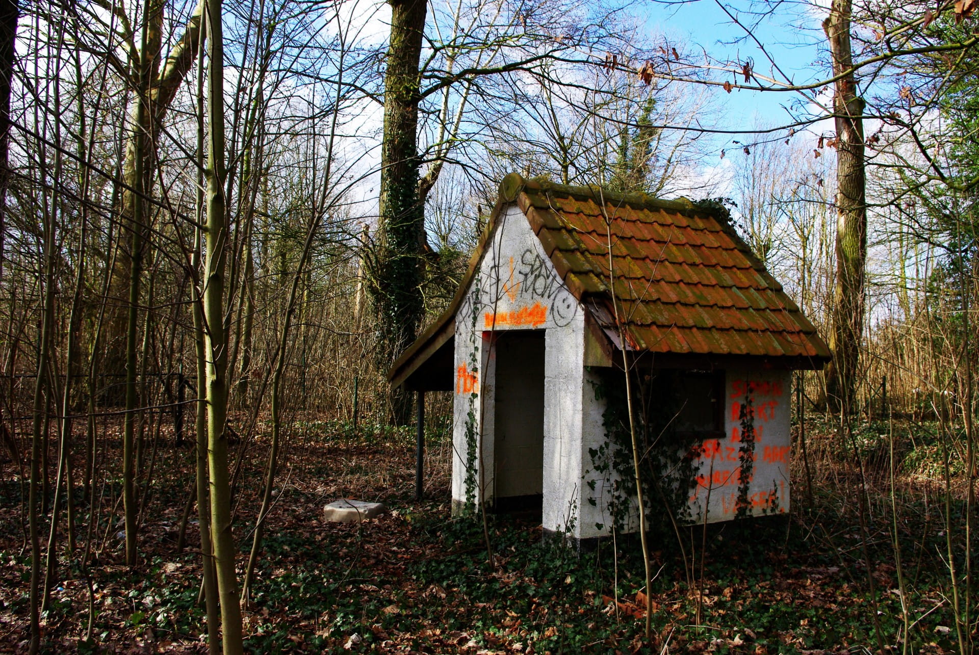 1080P, dadipark, house, no people, Dadizele, architecture And Buildings, tree trunk, trunk, tree, abandoned, wood - Material, tranquility, rural Scene, HD Wallpaper