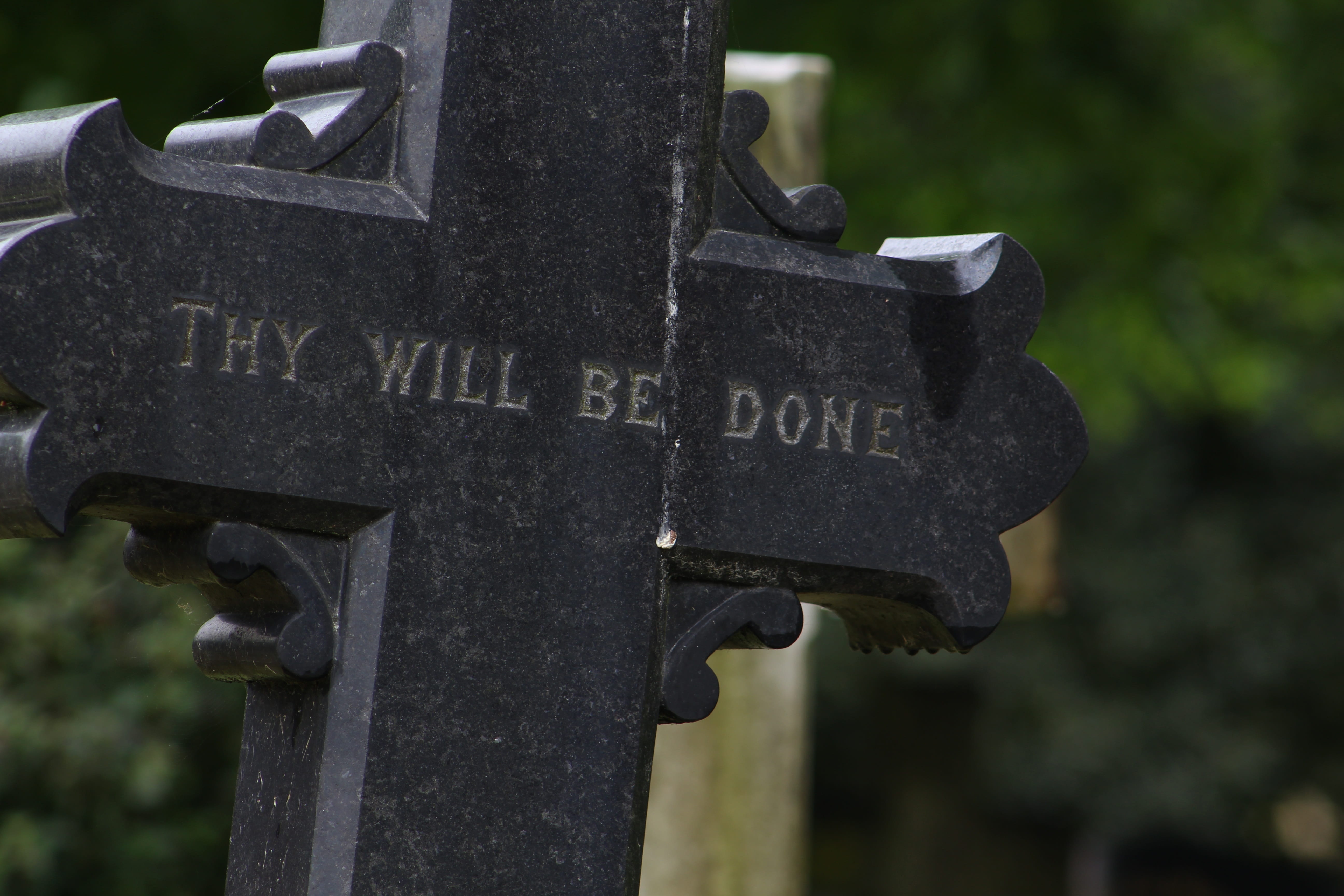 emotion, Grave, spirituality, message, close-up, day, outdoors, stone, sadness, Graveyard, 5K, belief, text, thy will be done, tombstone, memorial, focus on foreground, HD Wallpaper