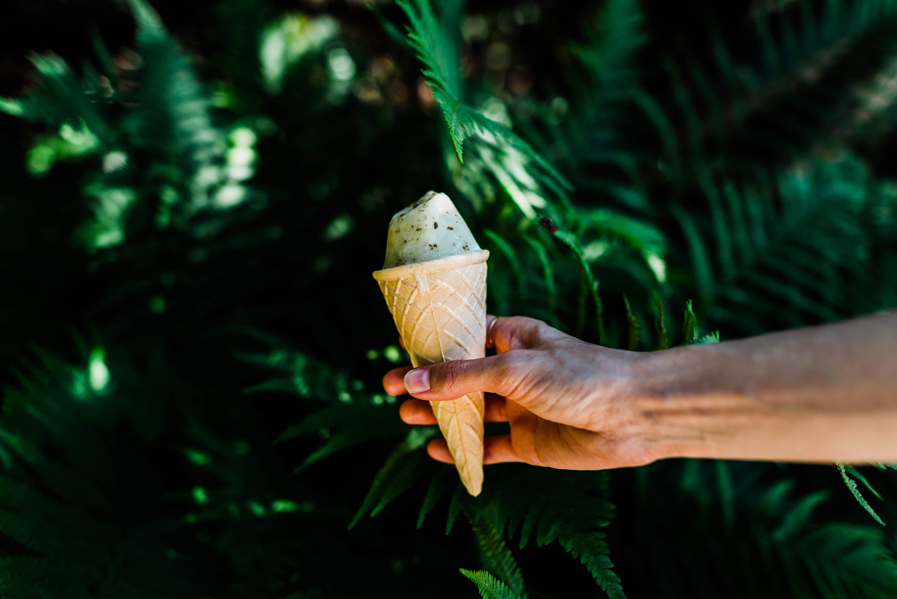 nature, waffle, outdoors, finger, body part, close-up, human hand, hand, focus on foreground, horn, cream, unrecognizable person, food and drink, one person, HD Wallpaper
