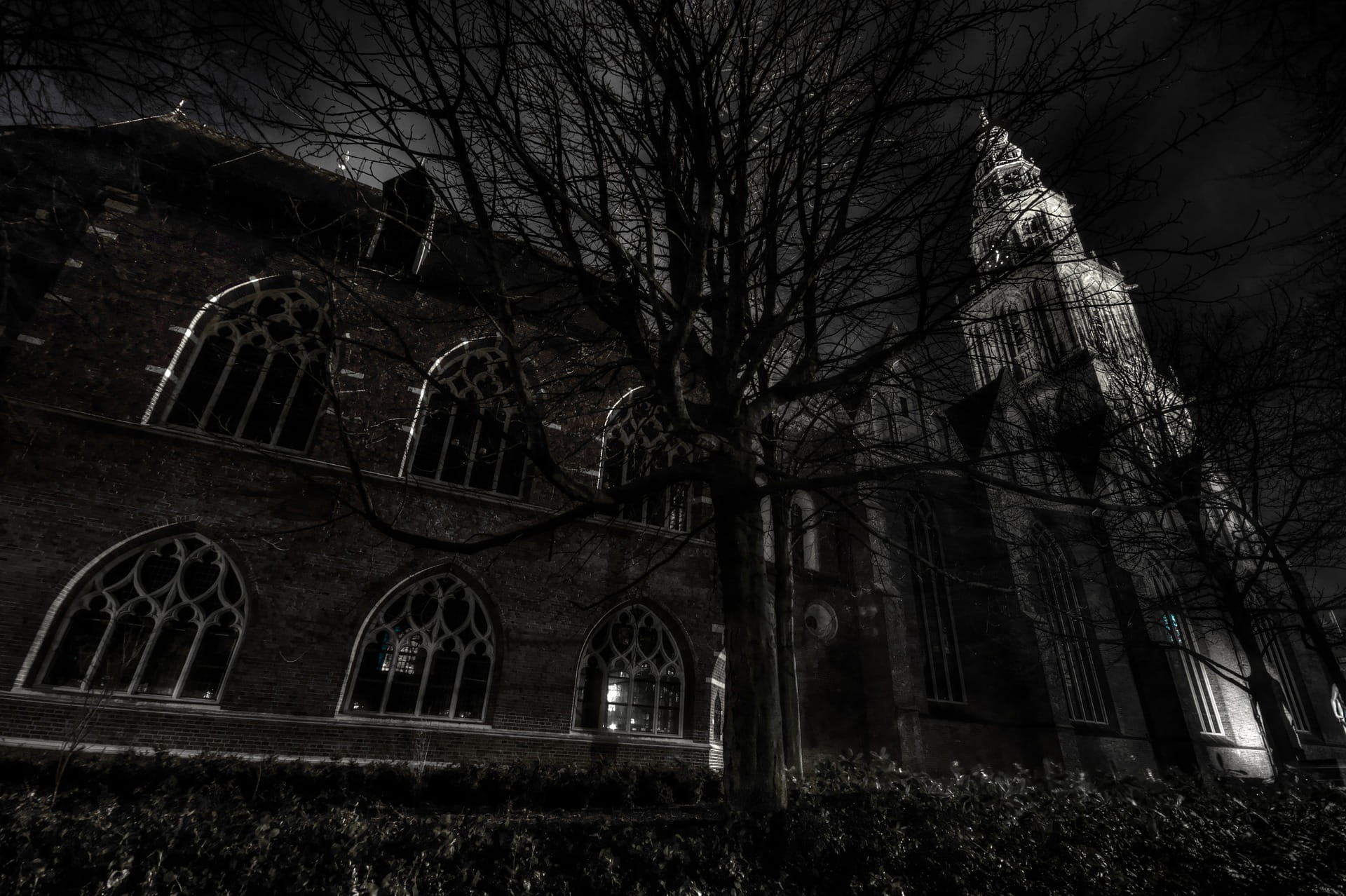 church, spirituality, the past, religion, religious, dark, cathedral, bare tree, christianity, 1080P, construction, history, branch, belief, architecture, HD Wallpaper