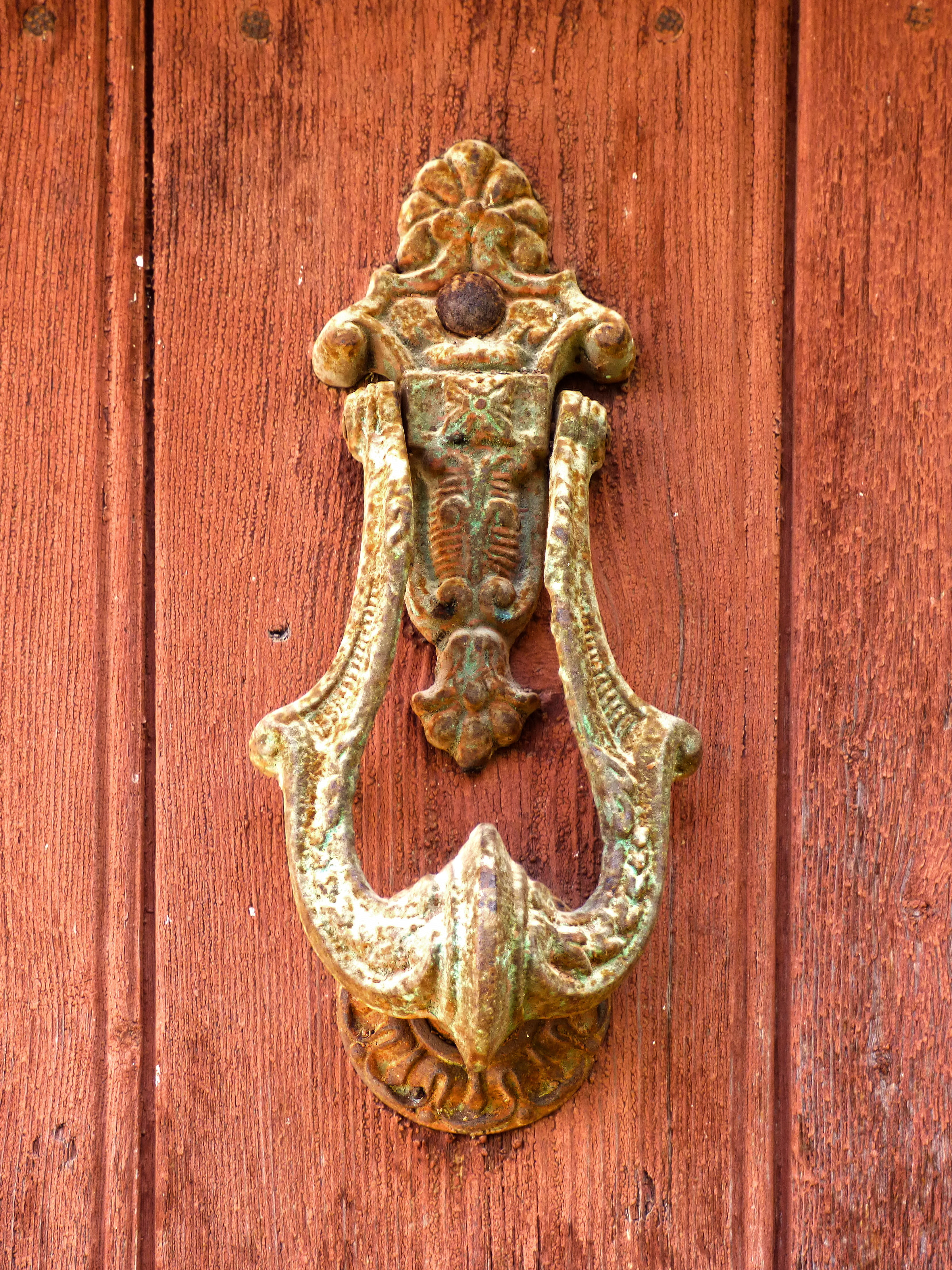 caller, cat, old door, animal representation, old, door, mammal, animal, call, entrance, feline, 4K, creativity, wood - material, knock knock, representation, Phone HD Wallpaper