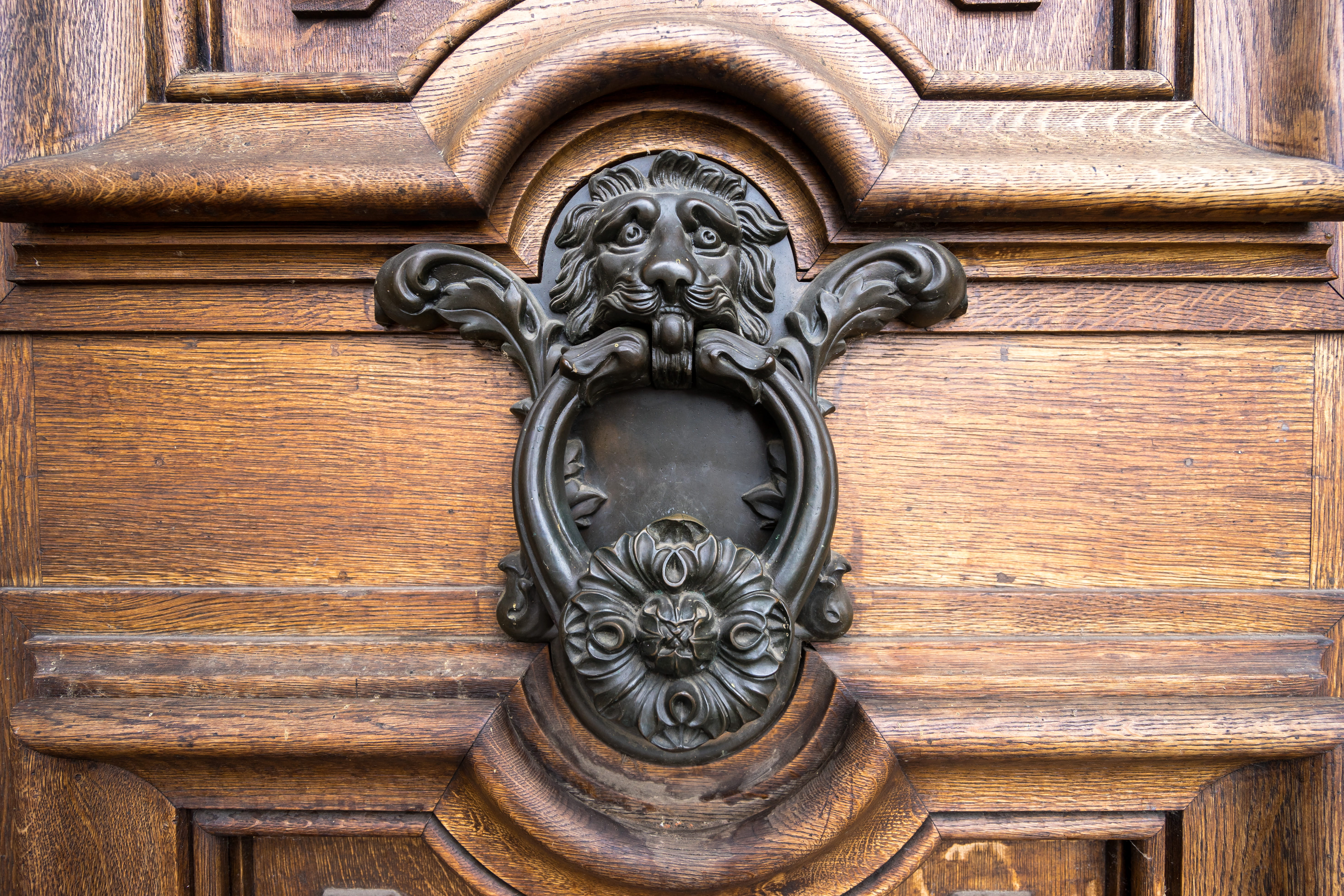 day, ornate, knock, craft, door, historic, representation, door knocker, wood, animal wildlife, security, close-up, architecture, brown, lion, metal, safety, HD Wallpaper