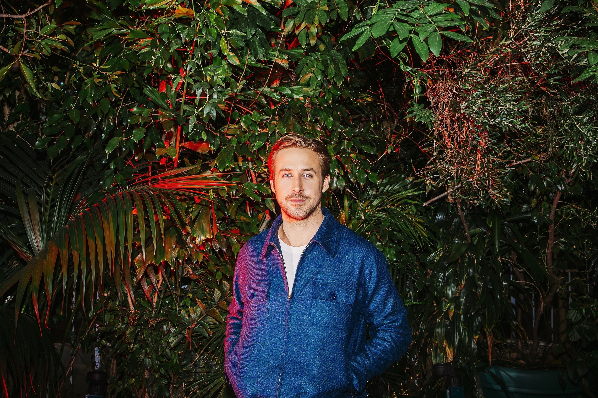 actor, Ryan Gosling, 2015, photoshoot, 1080P, garden, the bushes, night, NY Times, HD Wallpaper