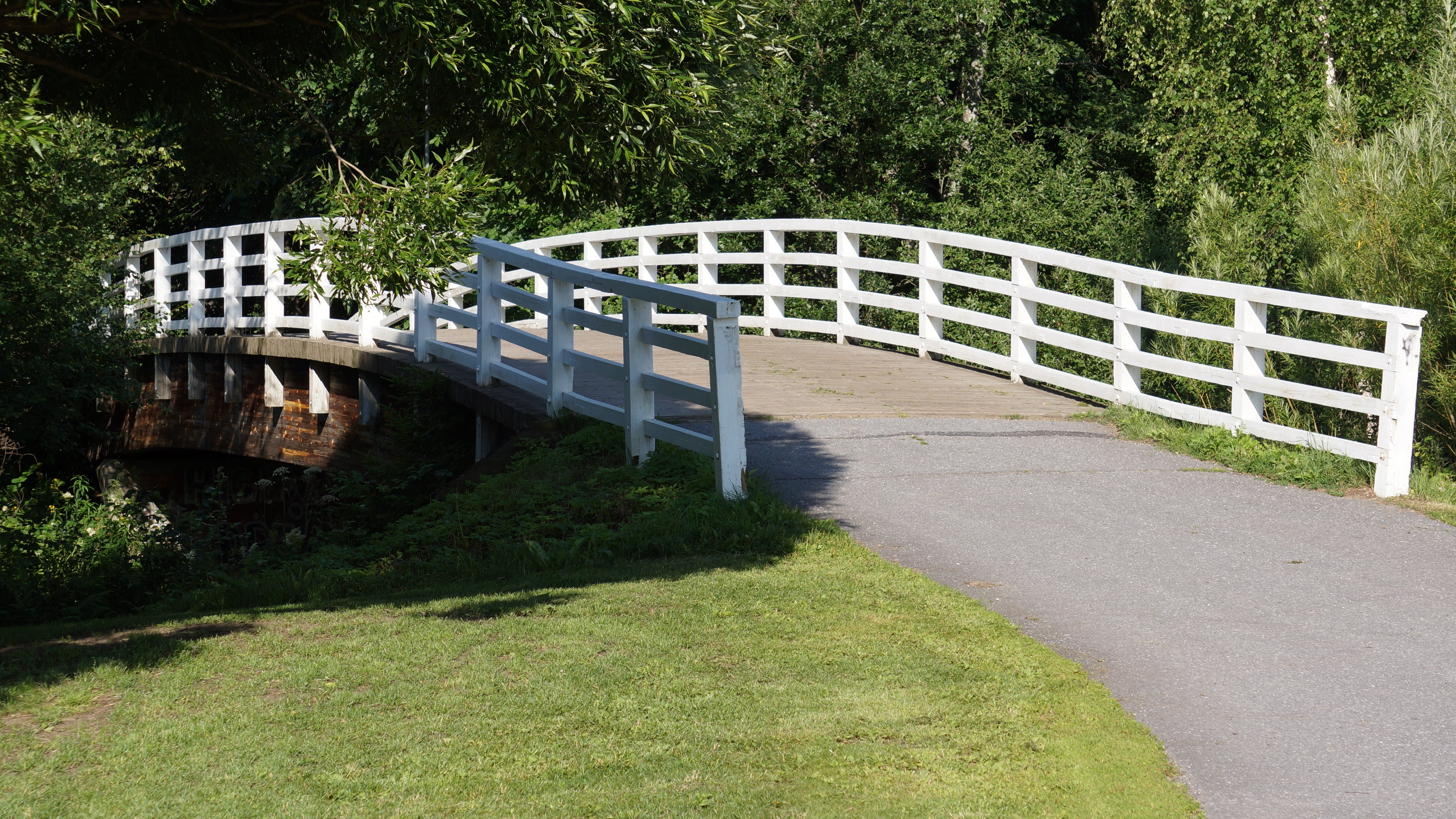 growth, sunlight, grass, footpath, park, transportation, 4K, white bridge, land vehicle, road, no people, outdoors, shadow, day, nature, land, built structure, HD Wallpaper