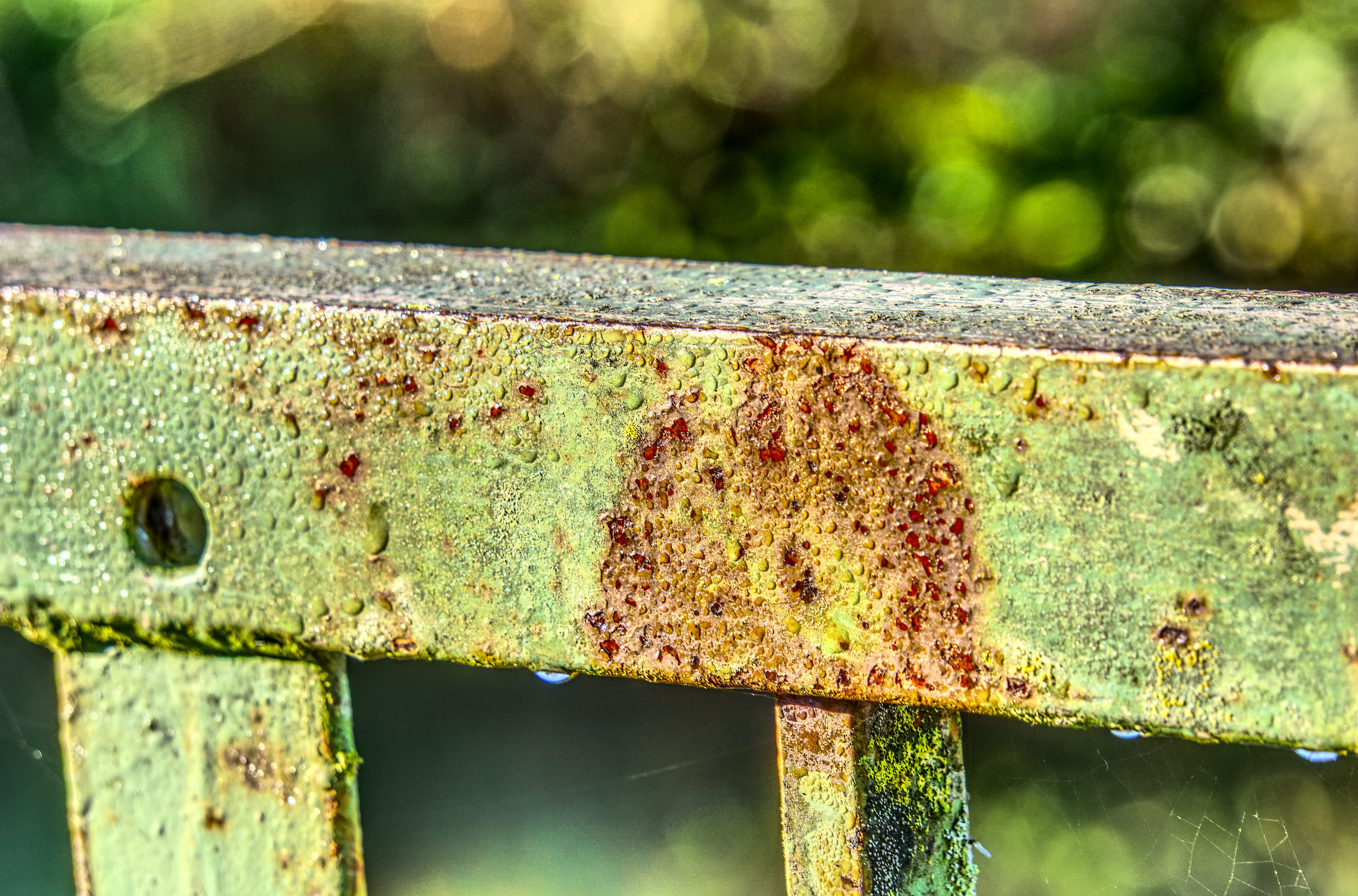 iron, day, railing, water, structure, plant, parapet, nature, steel, high dynamic range, hdr, wood - material, metal, abandoned, rust, old, no people, textured, HD Wallpaper