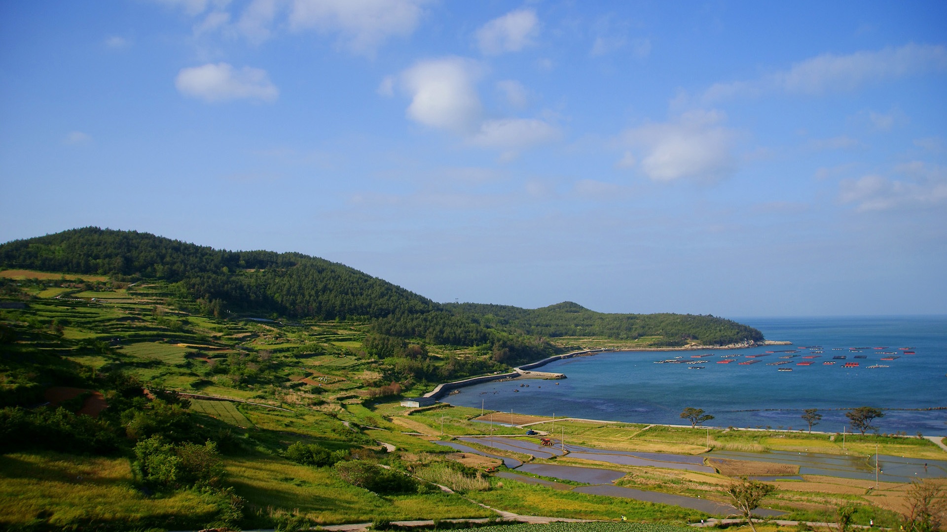 landscape, day, coastline, environment, whether or not, klitschko, beach, travel destinations, sky, scenics - nature, green color, 1080P, nature, no people, HD Wallpaper