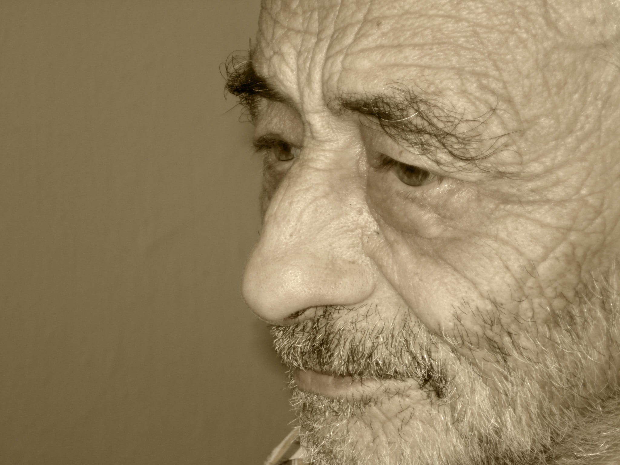 regardless of whether the, a, mature adult, one animal, wrinkled, looking away, wrinkly, looking, facial, facial hair, 1080P, studio shot, human body part, HD Wallpaper
