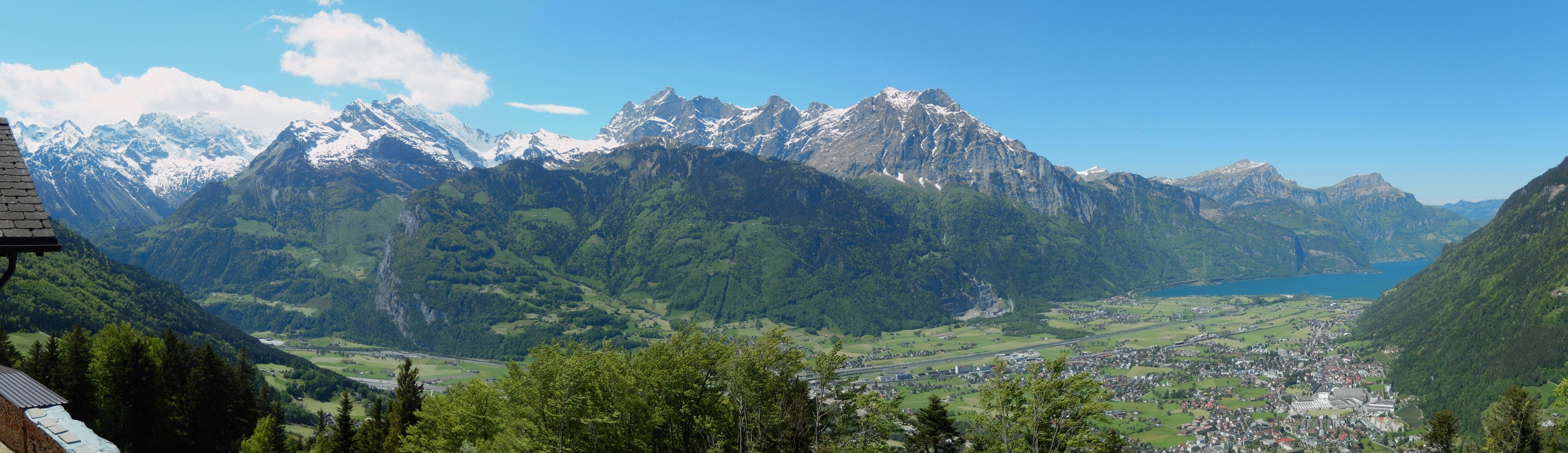 plant, travel destinations, tree, 2K, trees, sky, green, woodland, environment, switzerland, mountain, valley, forest, landscape, nature, mountain peak, HD Wallpaper