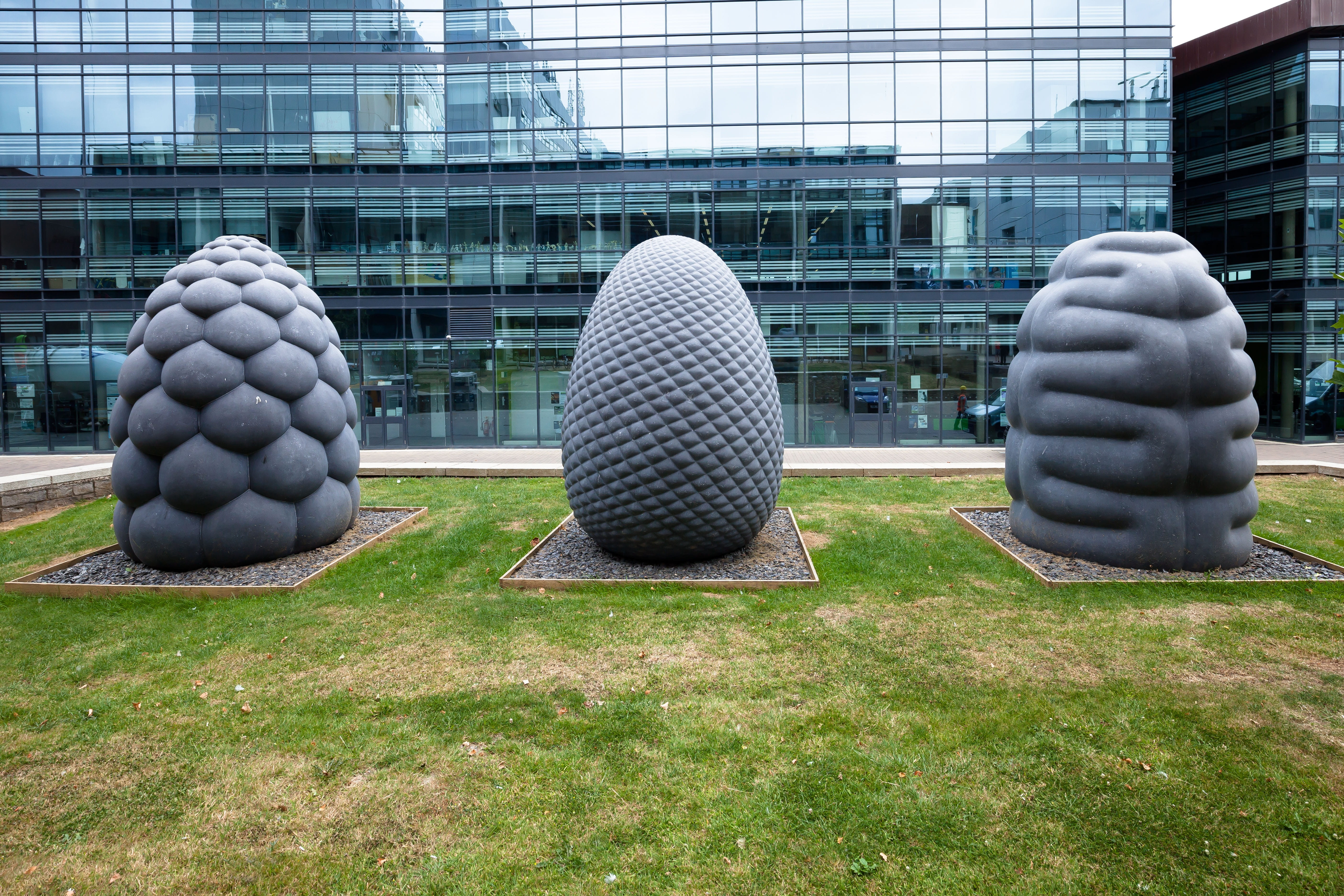 plant, fruits, form, steel, artists, building exterior, outdoors, creativity, architecture, built structure, mirroring, modern, glass, stone, grass, facade, HD Wallpaper