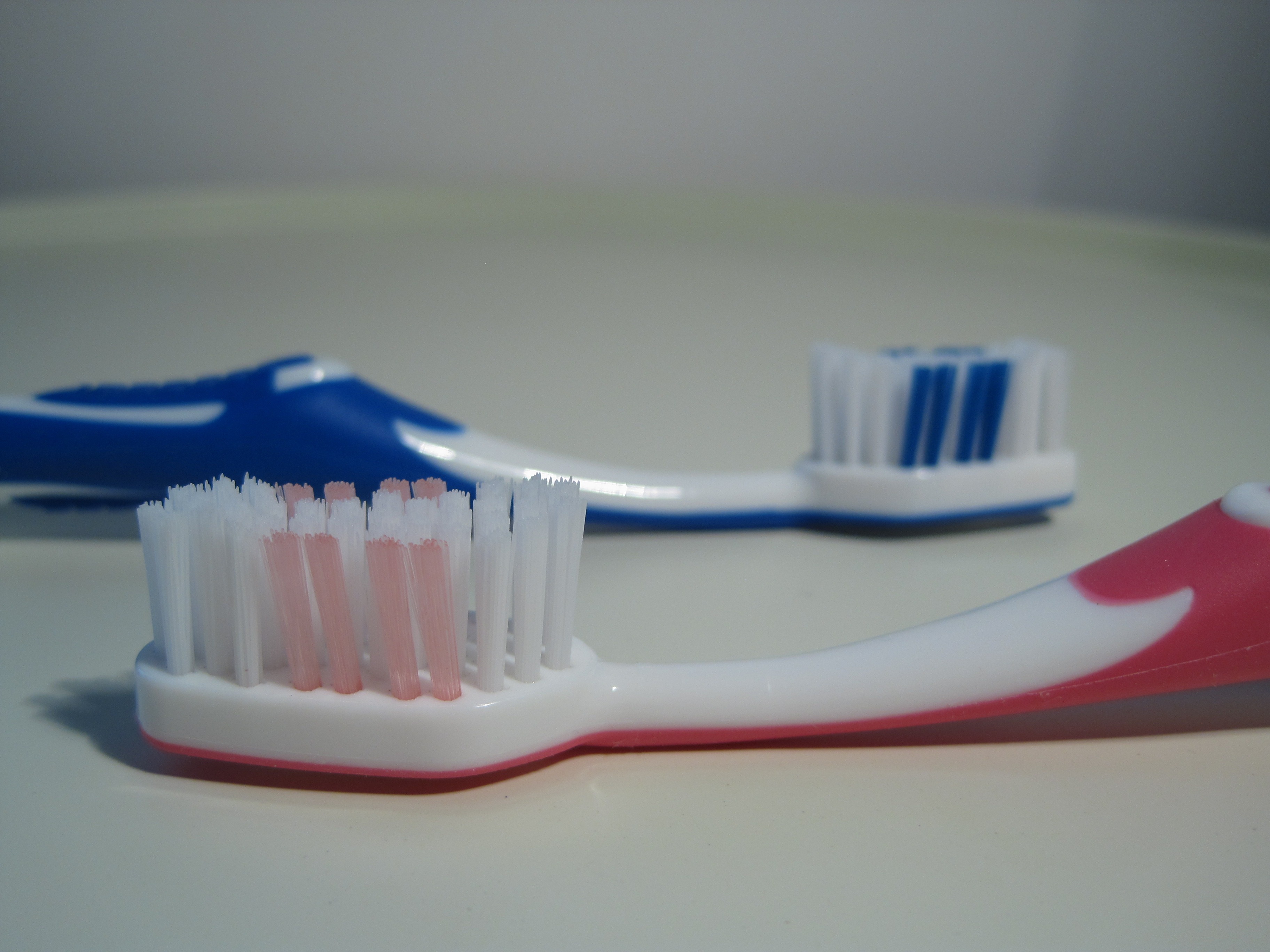dental health, close-up, still life, tooth, plate, table, 2K, food and drink, bless you, two objects, household equipment, indoors, selective focus, crockery, HD Wallpaper