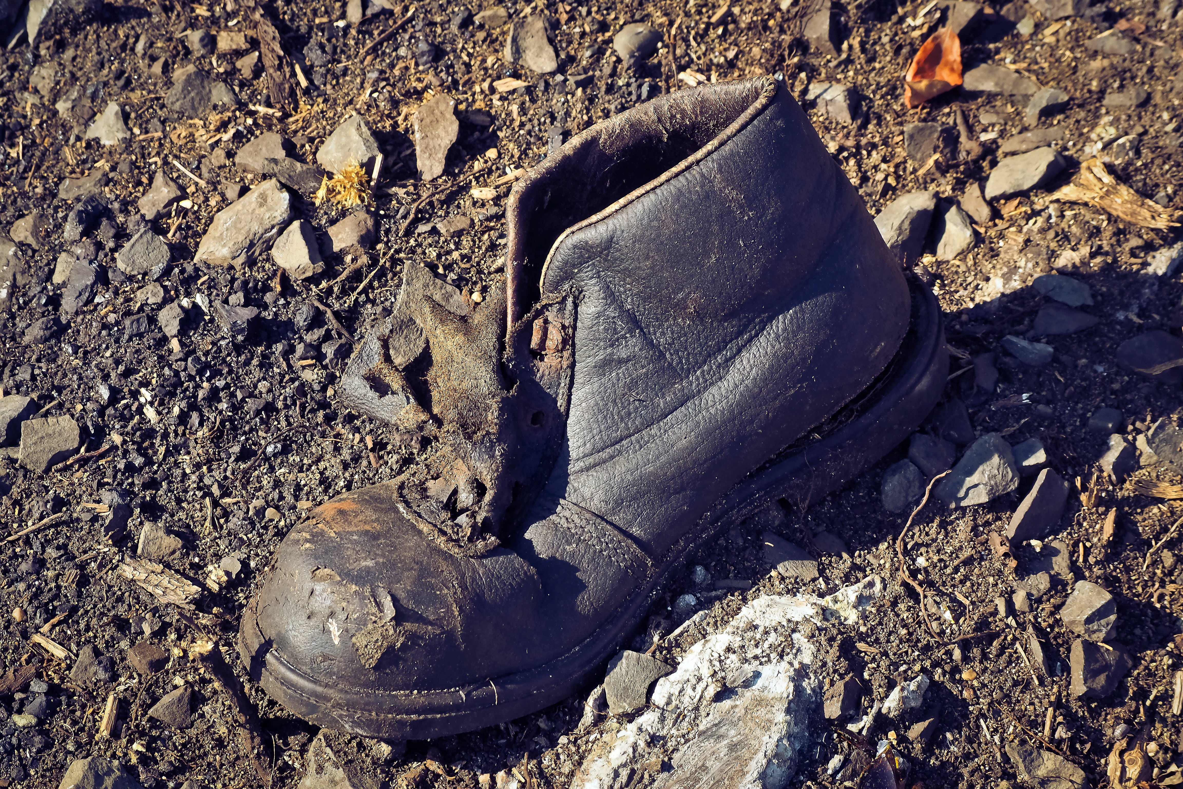 garbage, land, shoe, broken, tooth of time, rock - object, break up, dirt, no people, pollution, transience, ailing, past, black, solid, old, lapsed, leather, HD Wallpaper