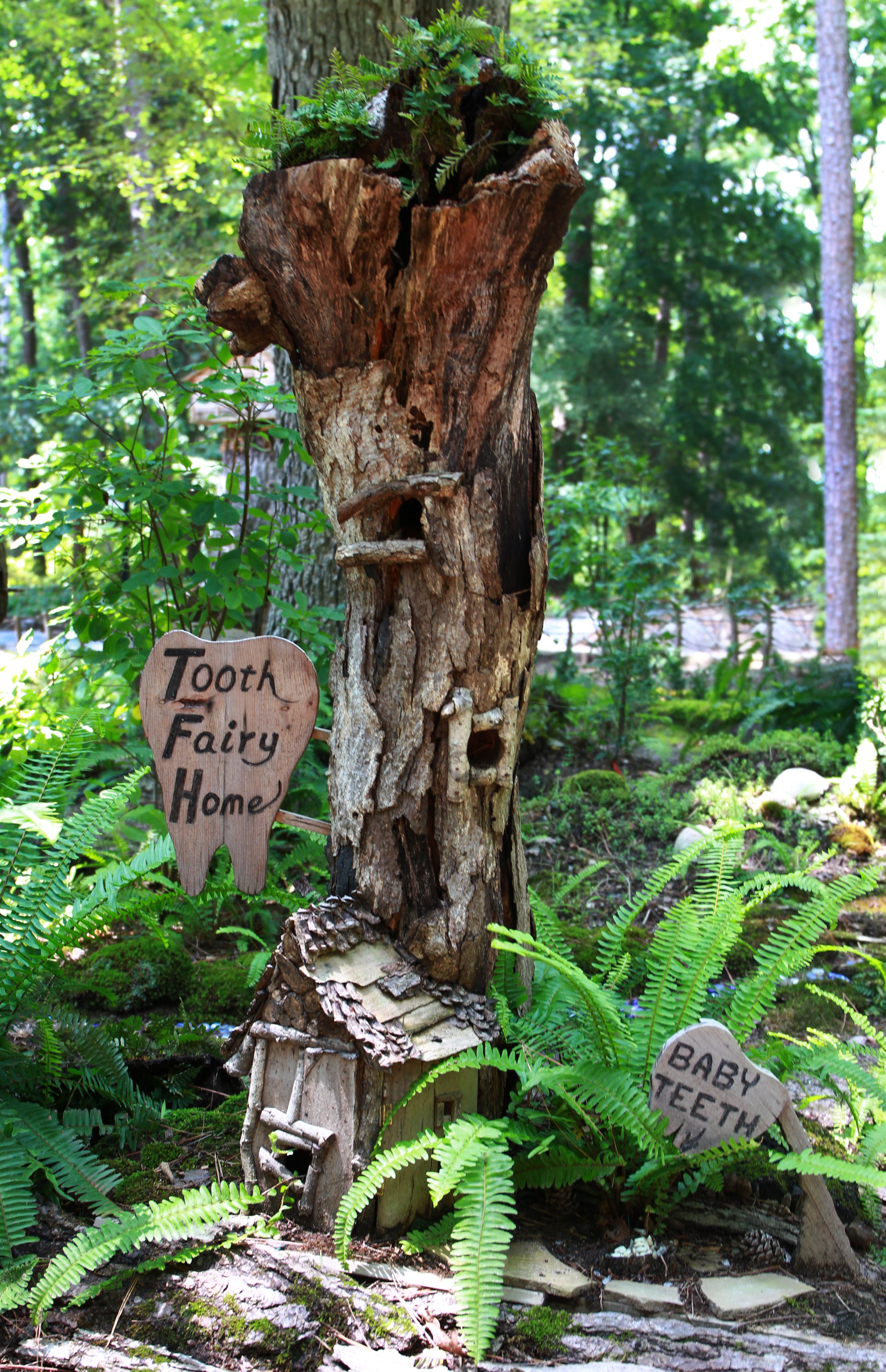 scale, forest, day, plant, fairytale, information, small, us, baby teeth, growth, miniature, fairy house, teeth, story, sign, children, tooth fairy, make believe, Phone HD Wallpaper