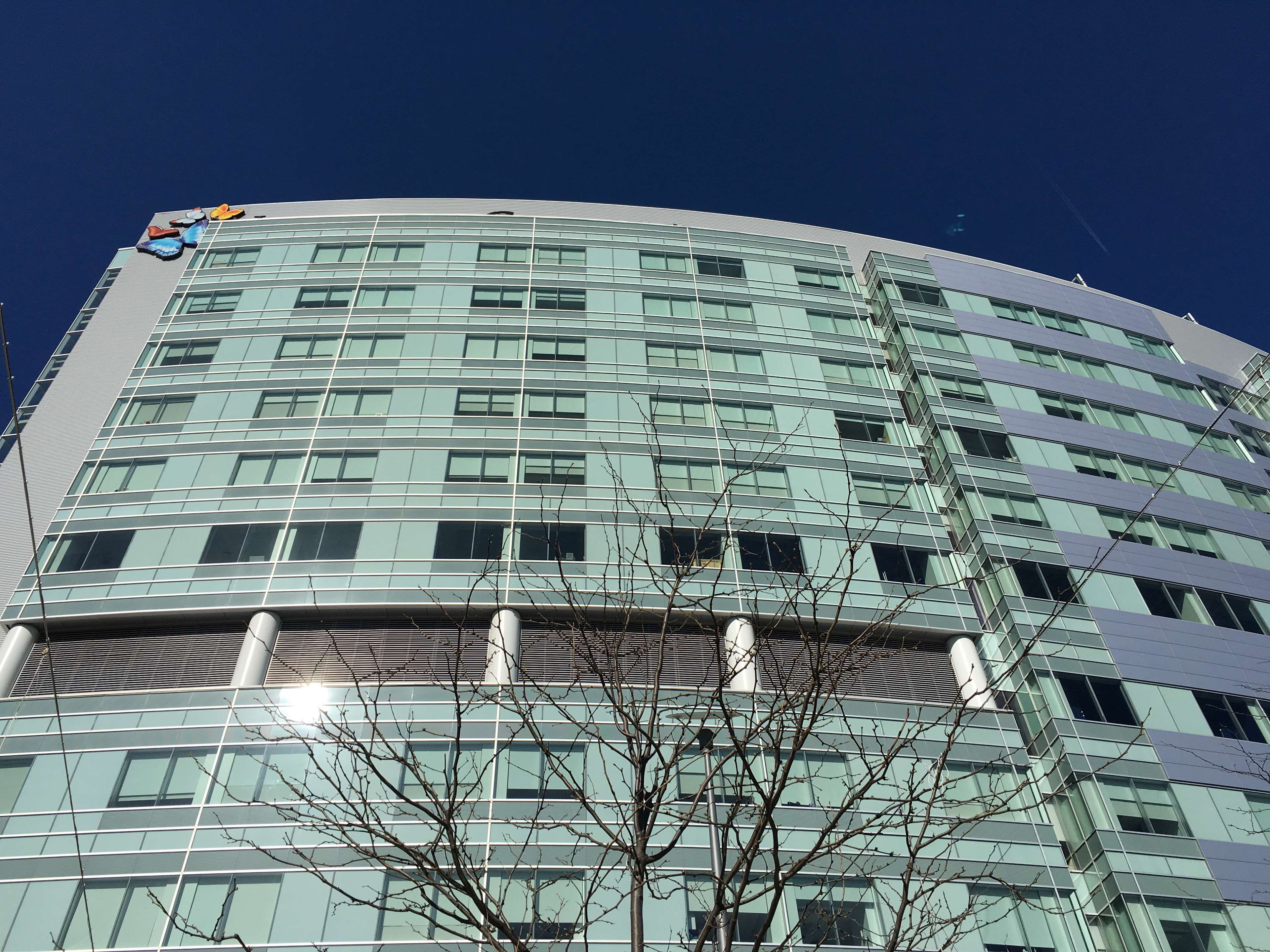 day, low angle view, columbus, pediatric, building, residential district, 4K, butterflies, big, nature, glass - material, clear sky, hospital, office, HD Wallpaper