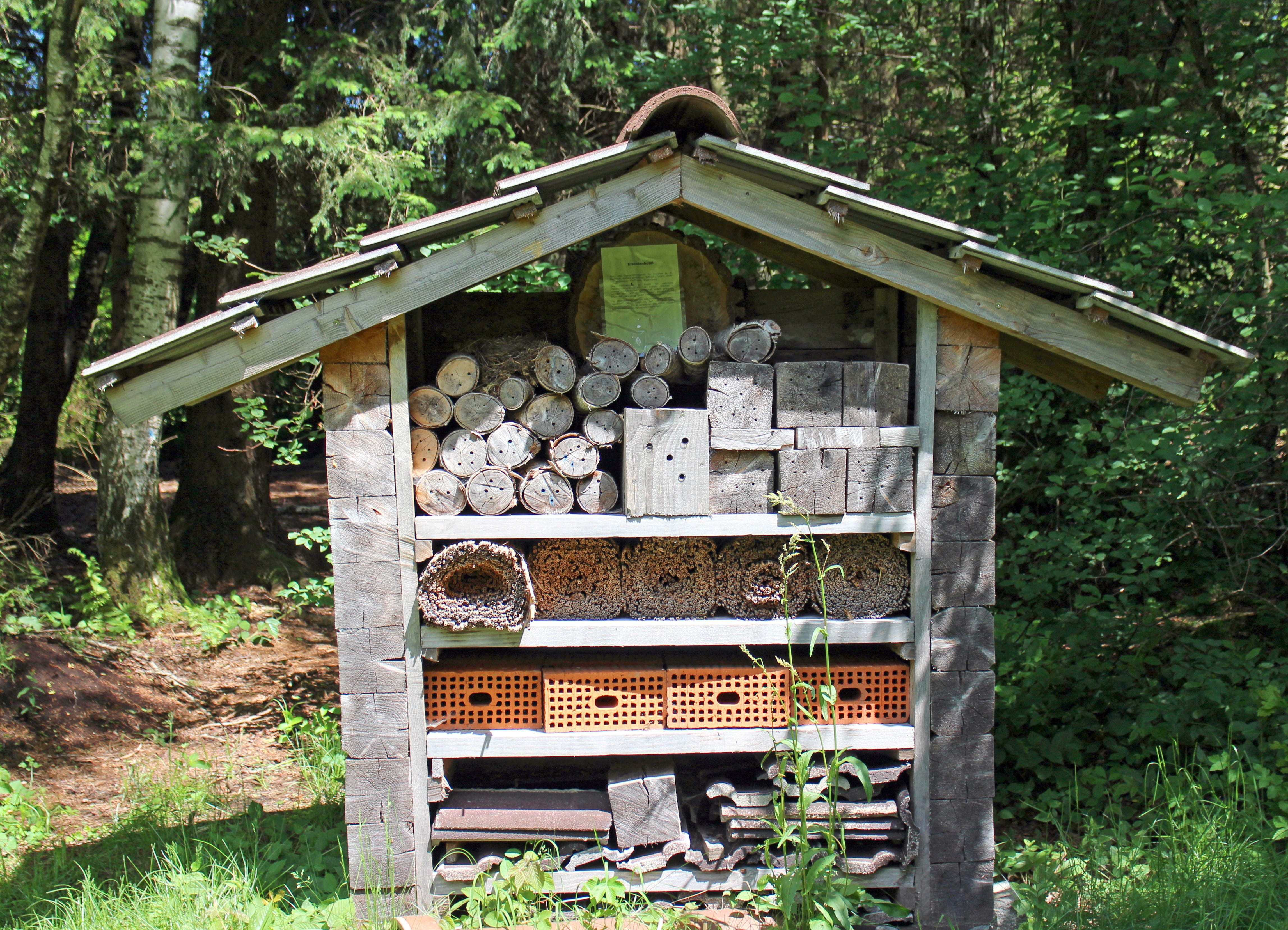 4K, school garden, wasps, no people, animal, timber, nature, breeding help, animals, log, land, insect hotel, nesting help, growth, beauty in nature, tree, HD Wallpaper