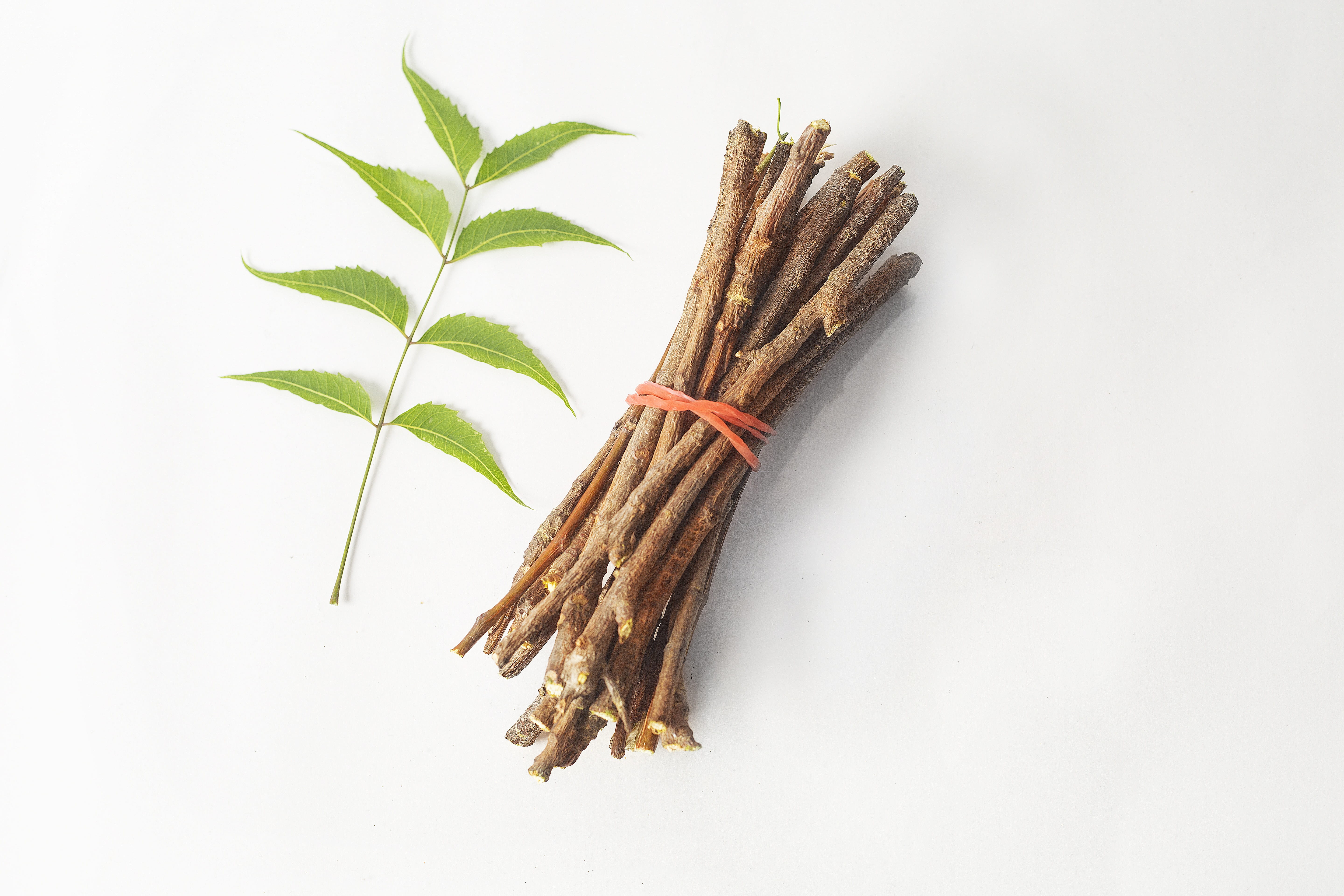 freshness, green color, beauty, ayurveda, healthy herb, leaf, cut out, herb, fresh, wellbeing, ayurveda herbs, growth, organic, health care, teeth care, HD Wallpaper