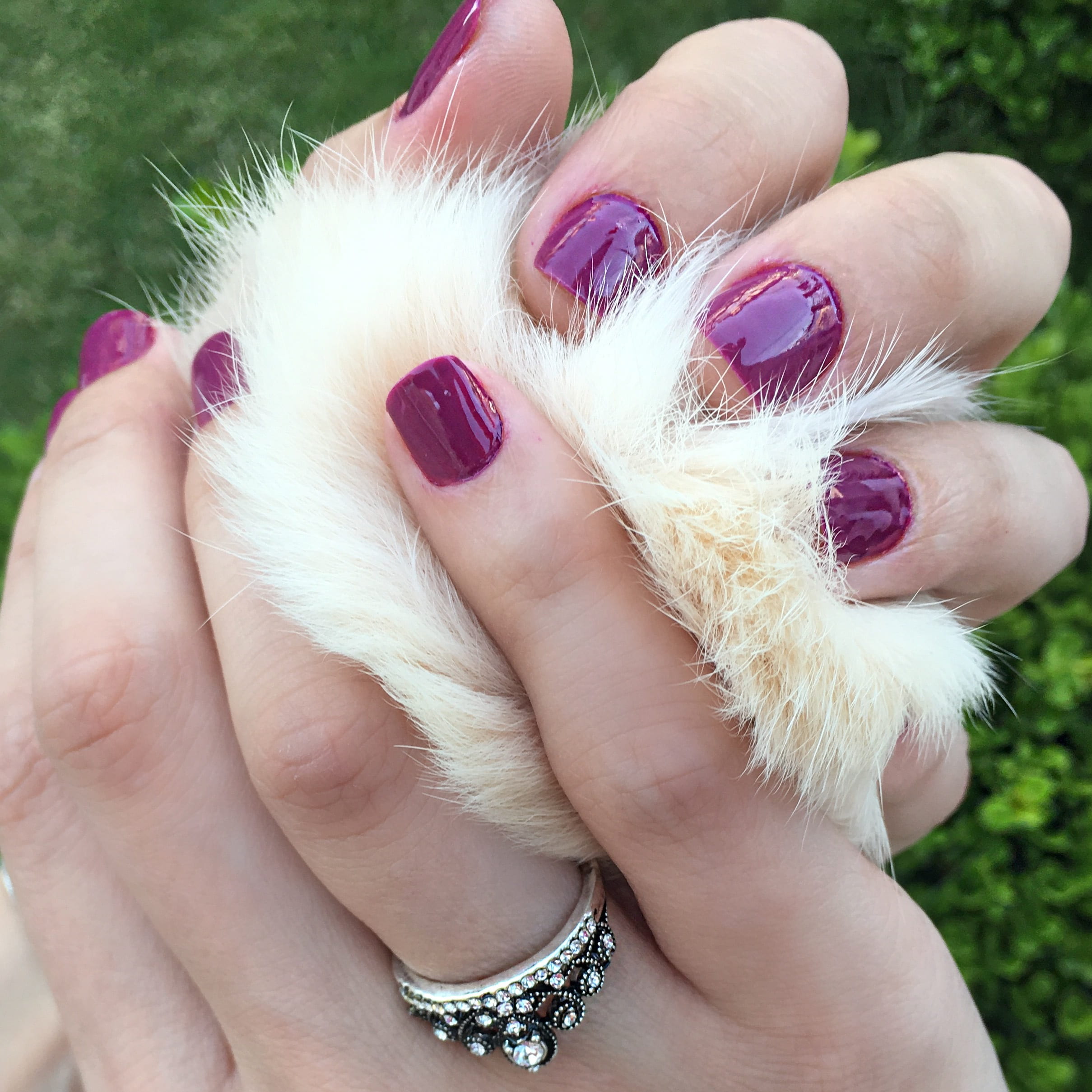 one person, nail polish, nail art, women, domestic animals, personal accessory, body part, nail, woman, pets, nature, small, domestic, portrait, real people, Phone HD Wallpaper