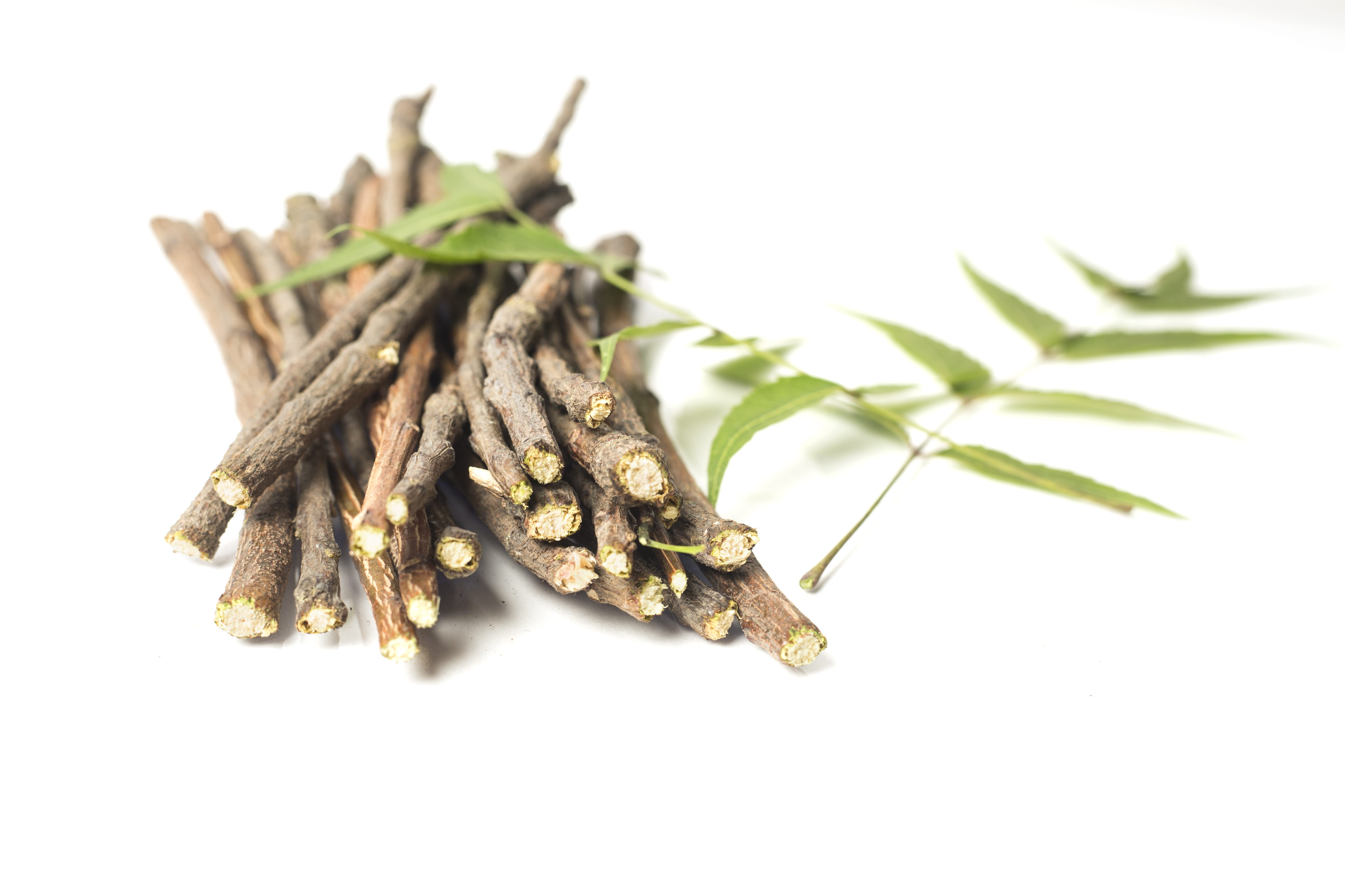 herbal, freshness, no people, natural, branch, herb, green color, sticks, nature, stem, organic, food and drink, indoors, chew, wood, dental, healthy eating, HD Wallpaper
