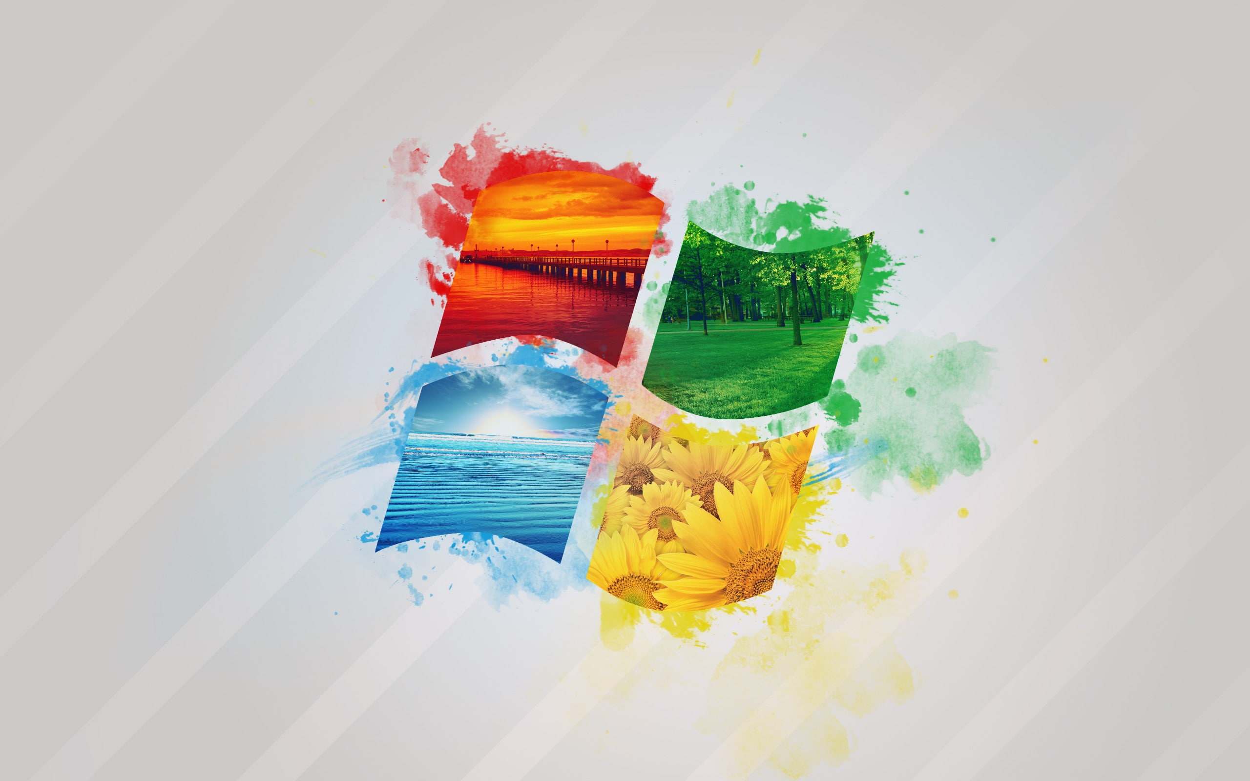 nature, no people, high angle view, close-up, multi colored, beauty in nature, paintbrush, microsoft windows computer operating systems, still life, freshness, HD Wallpaper