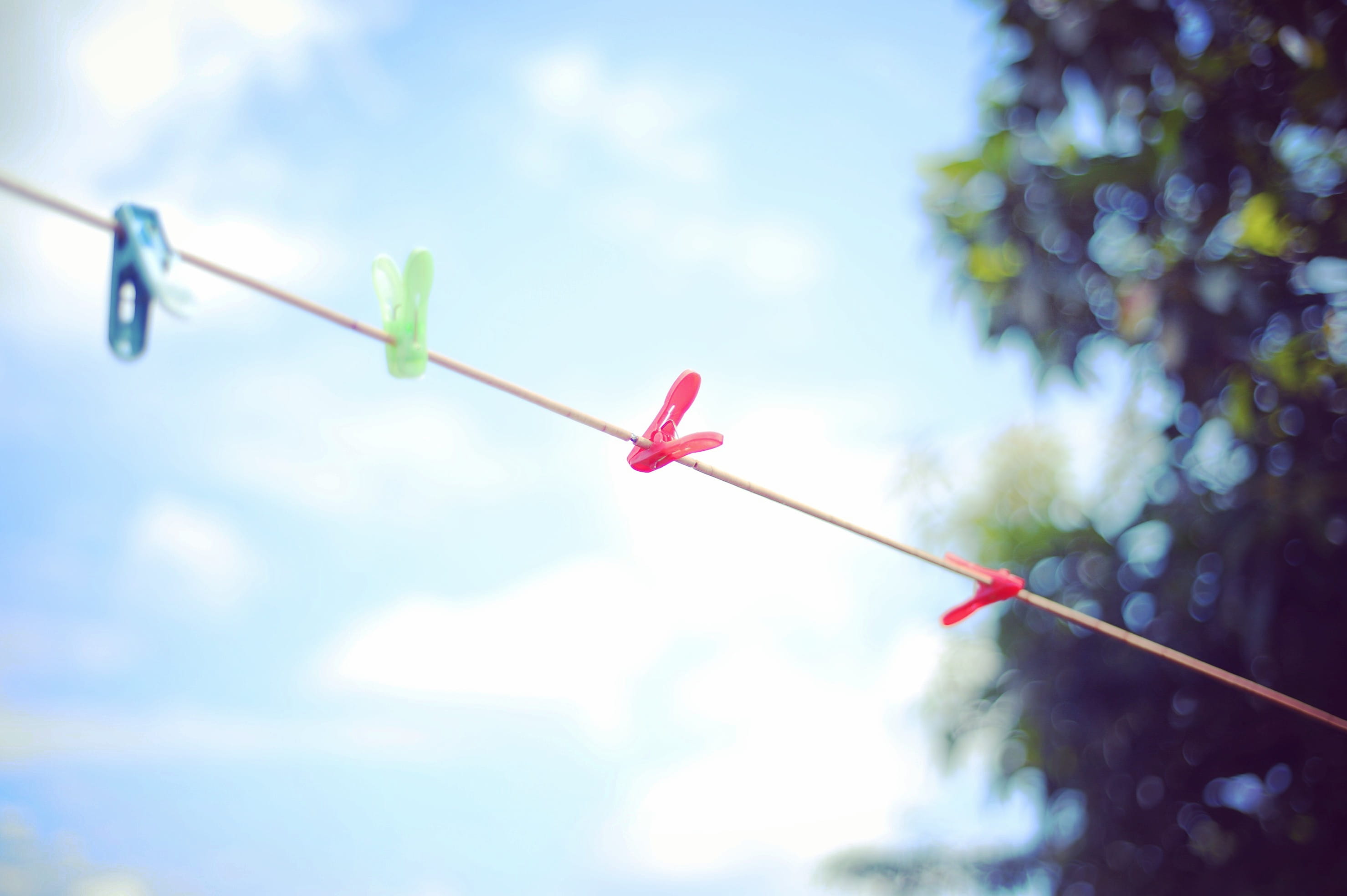 low angle view, clothespin, clothes line, plastic, outdoors, 2K, multi colored, nature, cloud - sky, plant, red, focus on foreground, no people, tree, HD Wallpaper