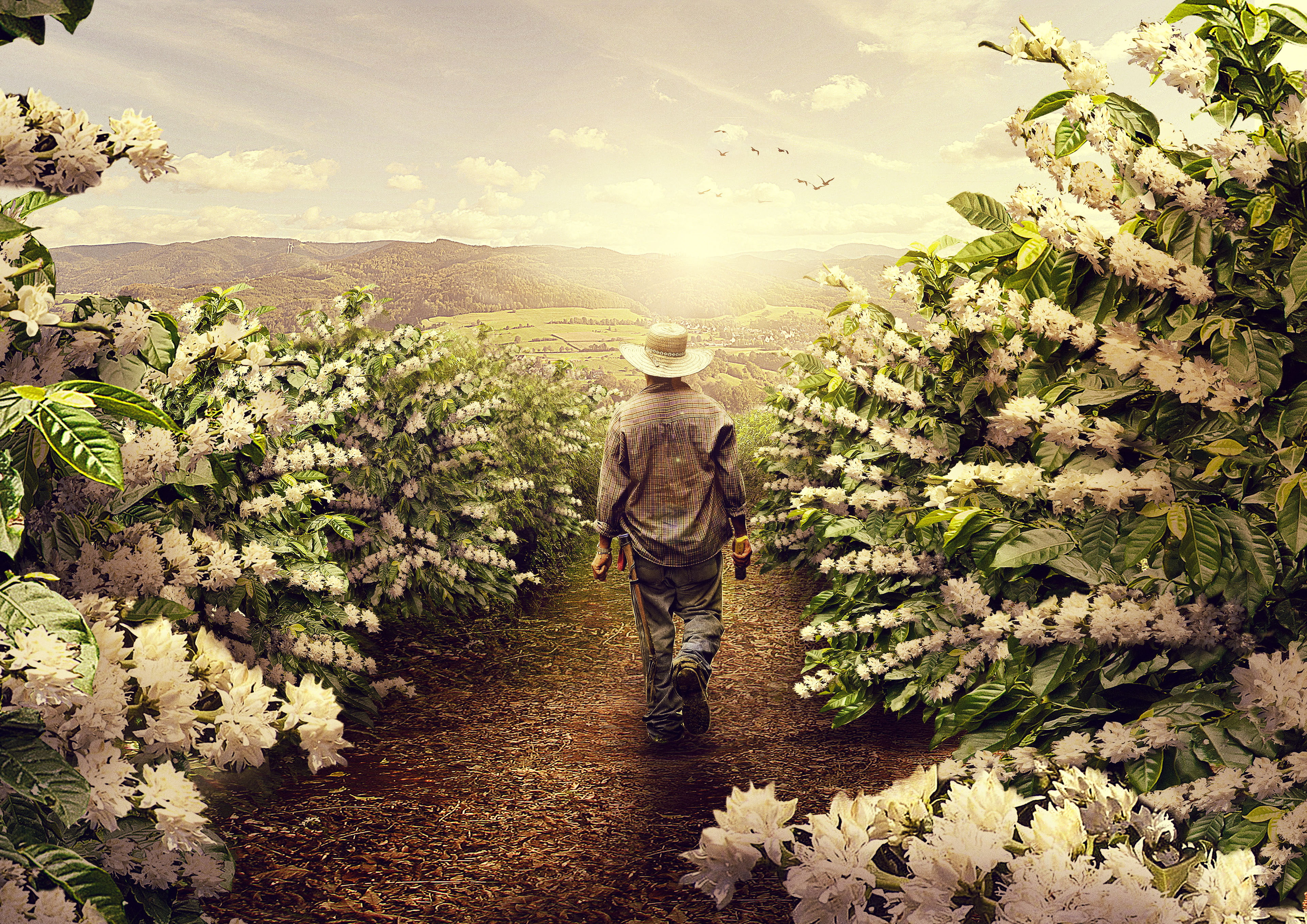 Farmer, 4K, 4K, HD Wallpaper