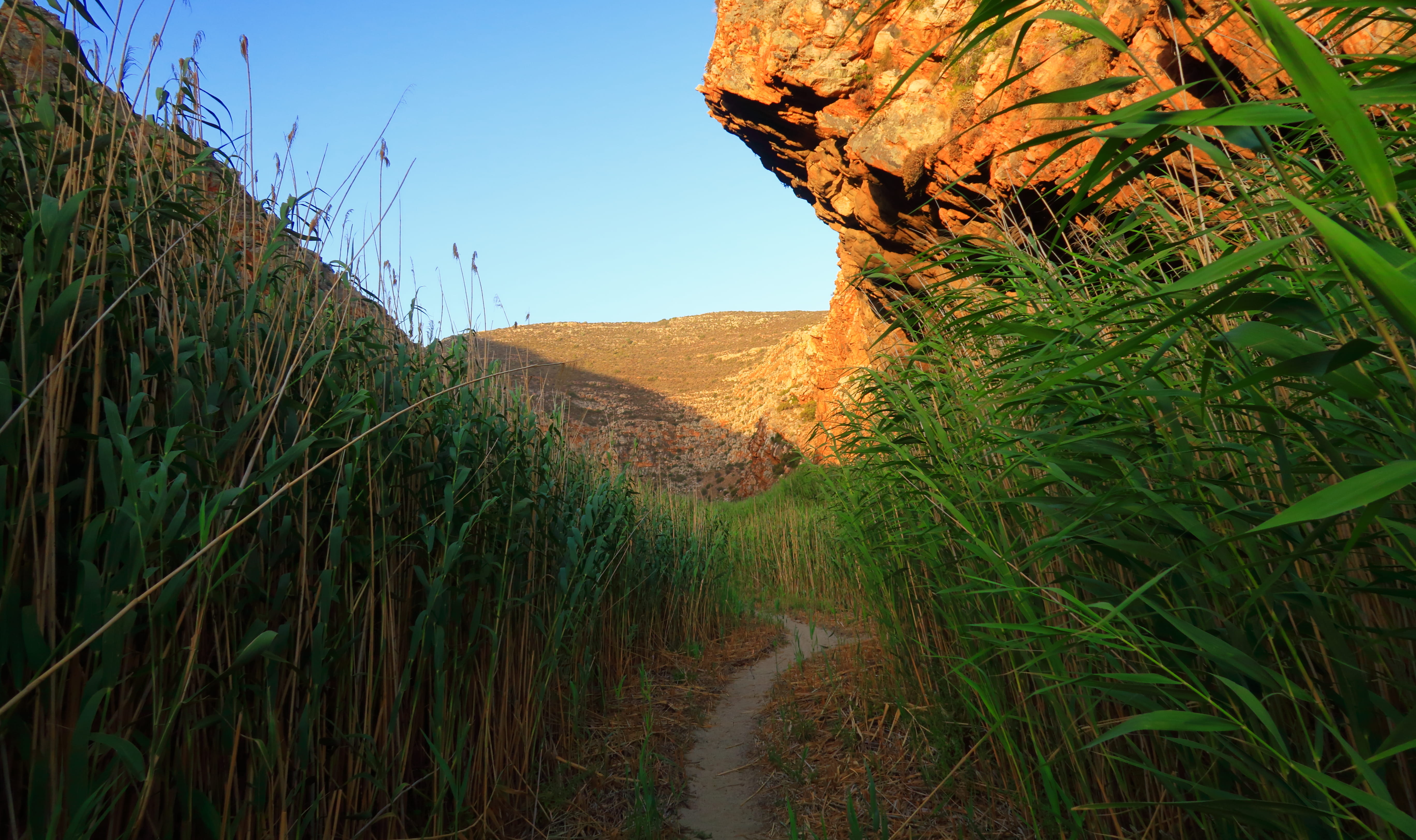 the way forward, montagu mountain local nature reserve, mountain, tranquility, footpath, non-urban scene, growth, sky, no people, montagu, scenics - nature, HD Wallpaper