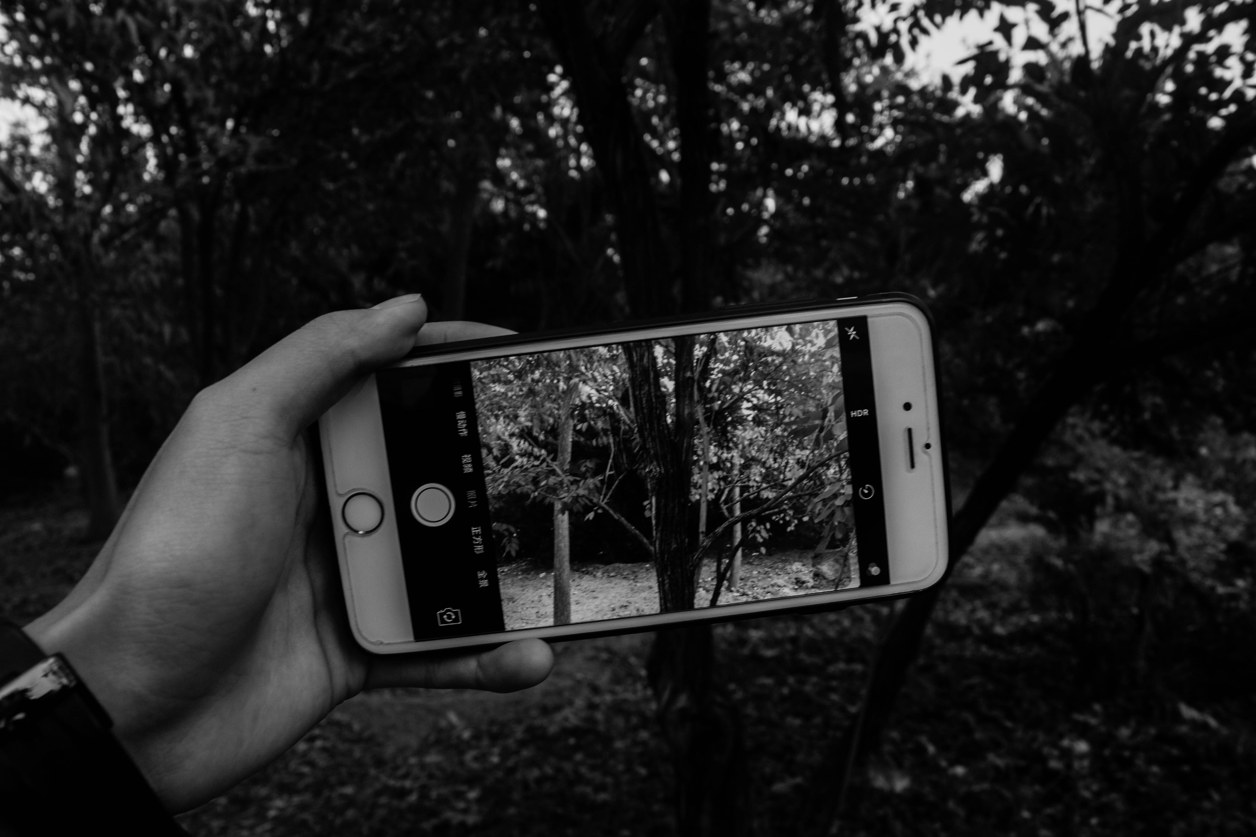 screen, smart phone, mobile phone, outdoors, technology, black, plant, Black And White, park - Man Made Space, communication, people, phone, human hand, HD Wallpaper