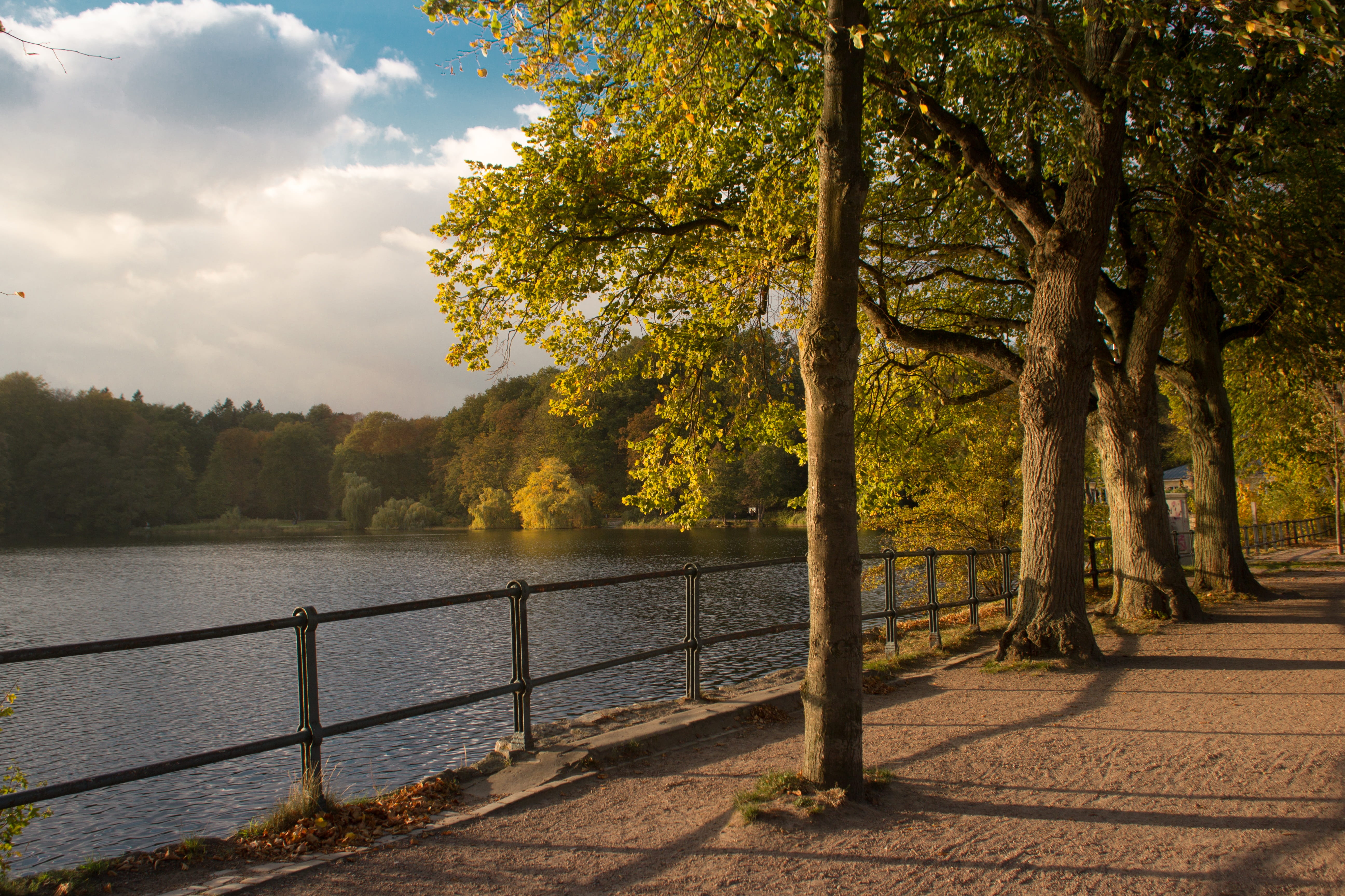 tree trunk, avenue, growth, sunlight, tranquil scene, bank, day, trunk, hamburg, scenics - nature, sky, lake, river, tree, no people, lower saxony, outdoors, HD Wallpaper
