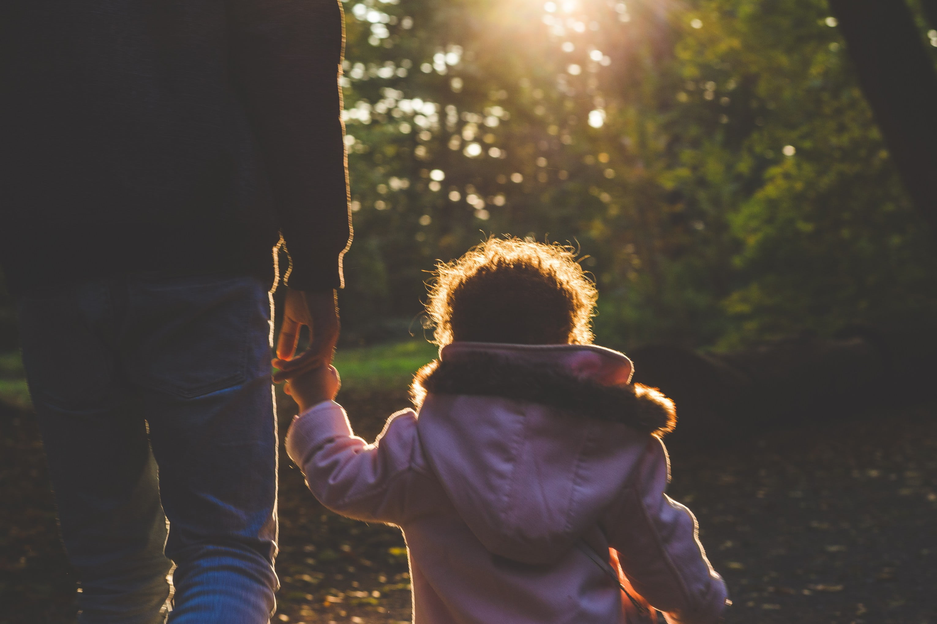 near, boy, daughter, person, positive emotion, sunset, real people, family with one child, childhood, green, forest, leisure activity, family, trees, plants, HD Wallpaper