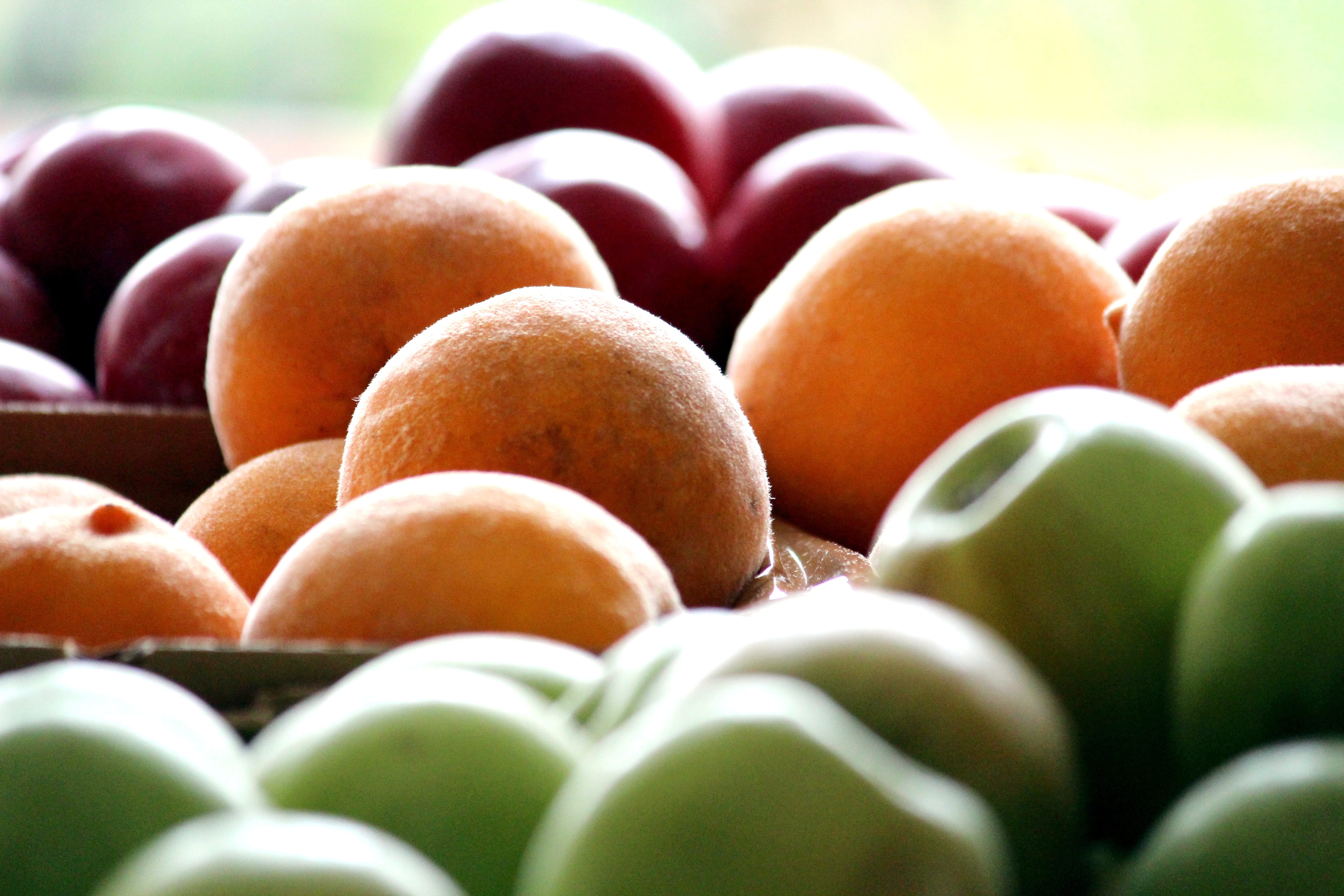 close-up, fruit, apple, multi colored, wellbeing, eat, plums, fruit stand, large group of objects, in a row, ripe, day, selective focus, healthy eating, HD Wallpaper