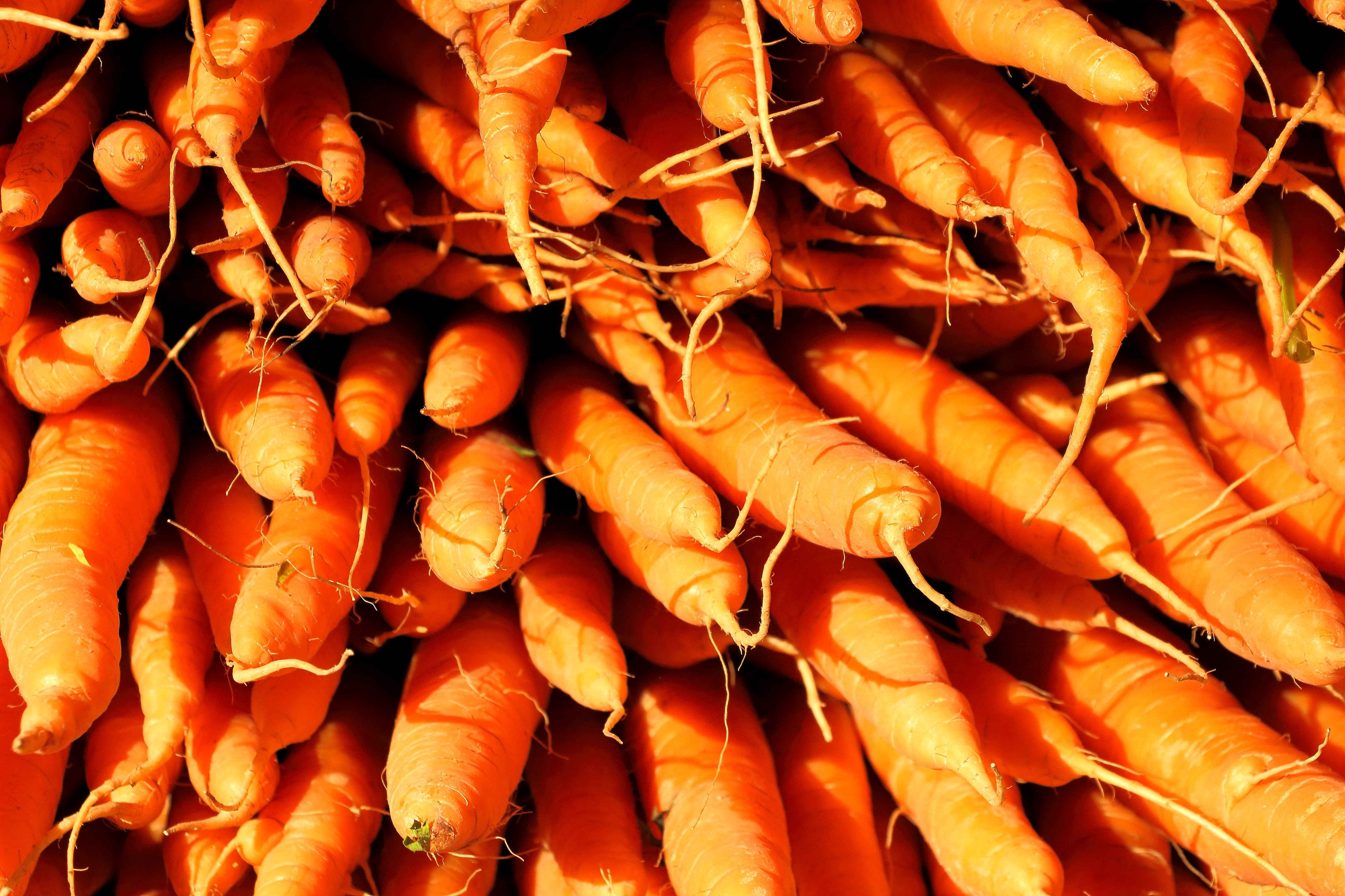 organic, vegetable, carrots, no people, still life, retail, farmers local market, food, nature, orange Color, for sale, food and drink, nutrition, healthy eating, HD Wallpaper