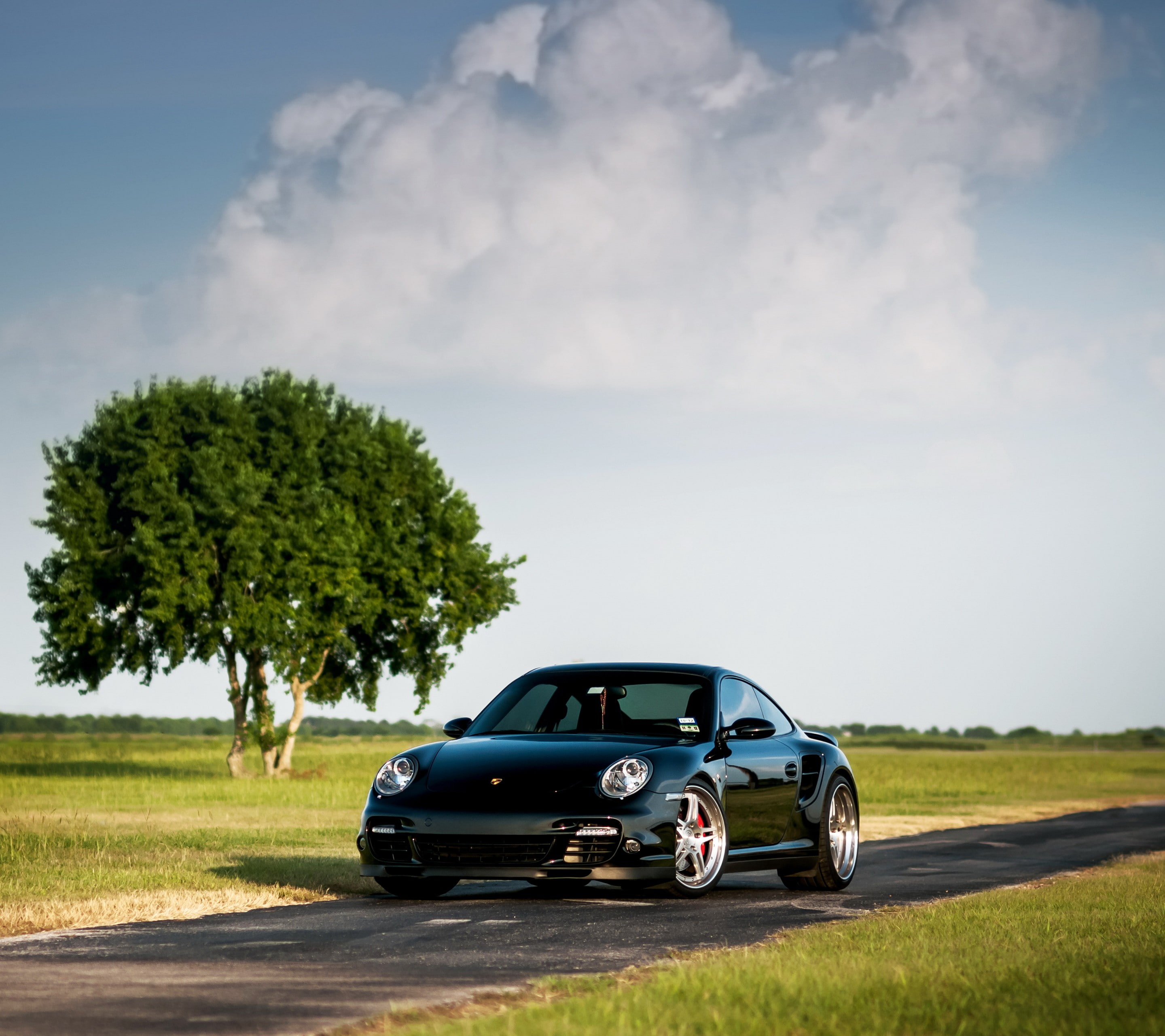 field, sky, travel, outdoors, driving, Porsche 911 Turbo, mode of transportation, tree, land, transportation, day, motion, plant, nature, grass, car, land vehicle, HD Wallpaper