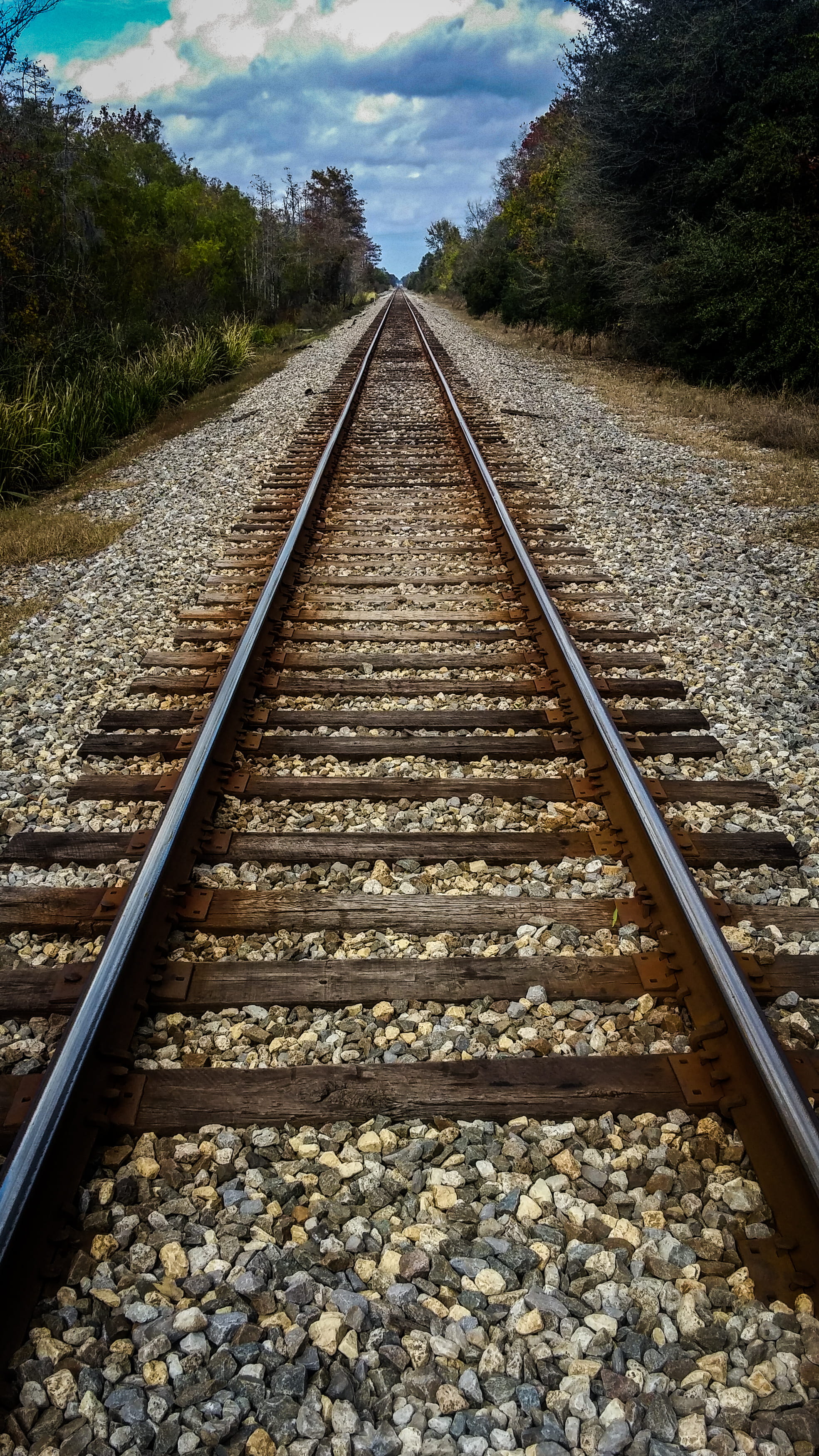 track, pebble, stone - object, day, cloud - sky, rail transportation, ponchatoula, parallel, transportation, nature, metal, joyce wildlife swampwalk, growth, Phone HD Wallpaper