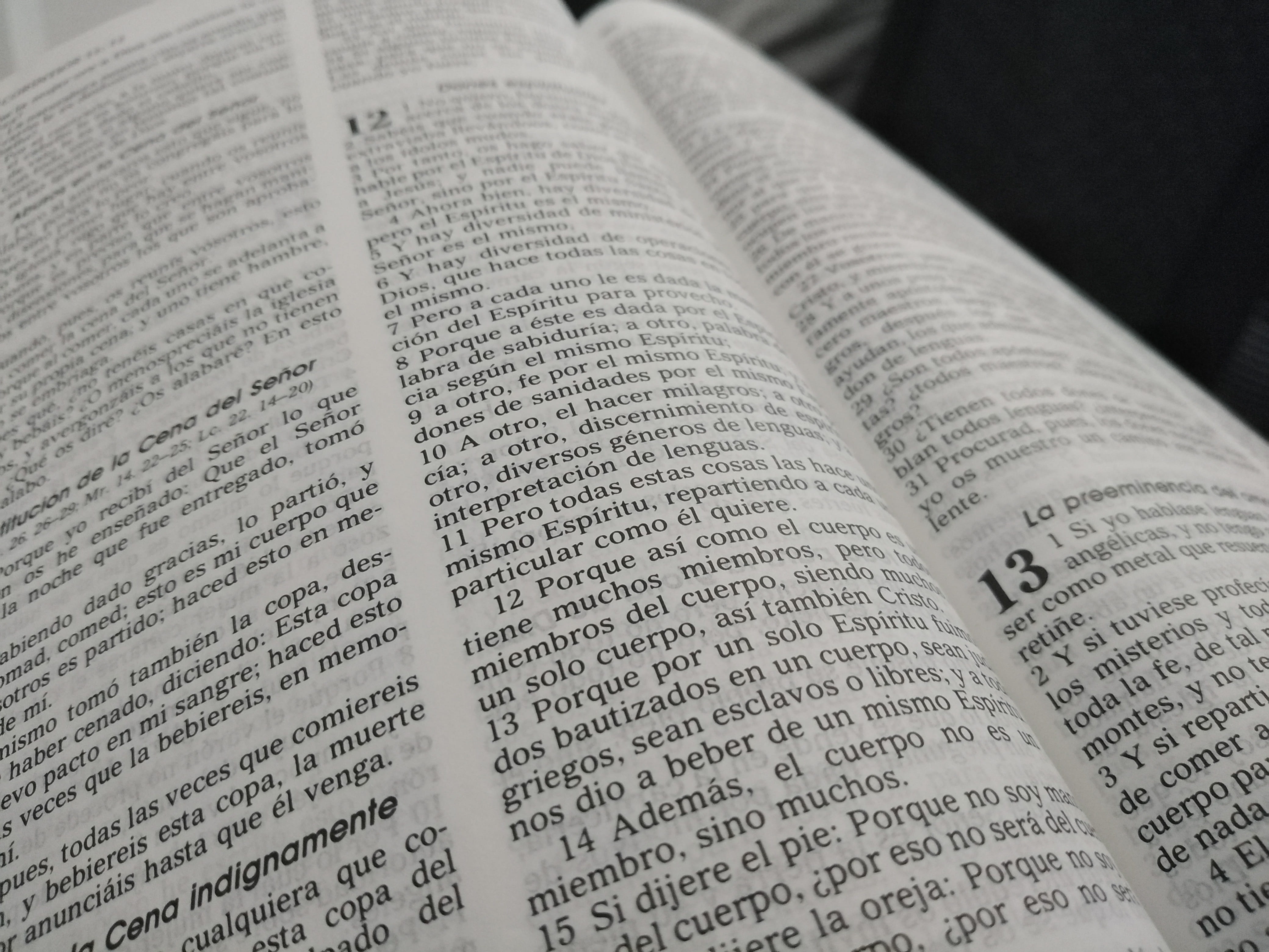 page, easter, indoors, bible, high angle view, studying, paper, still life, script, open, publication, pray, faith, sadness, close-up, cruz, christ, cult, HD Wallpaper