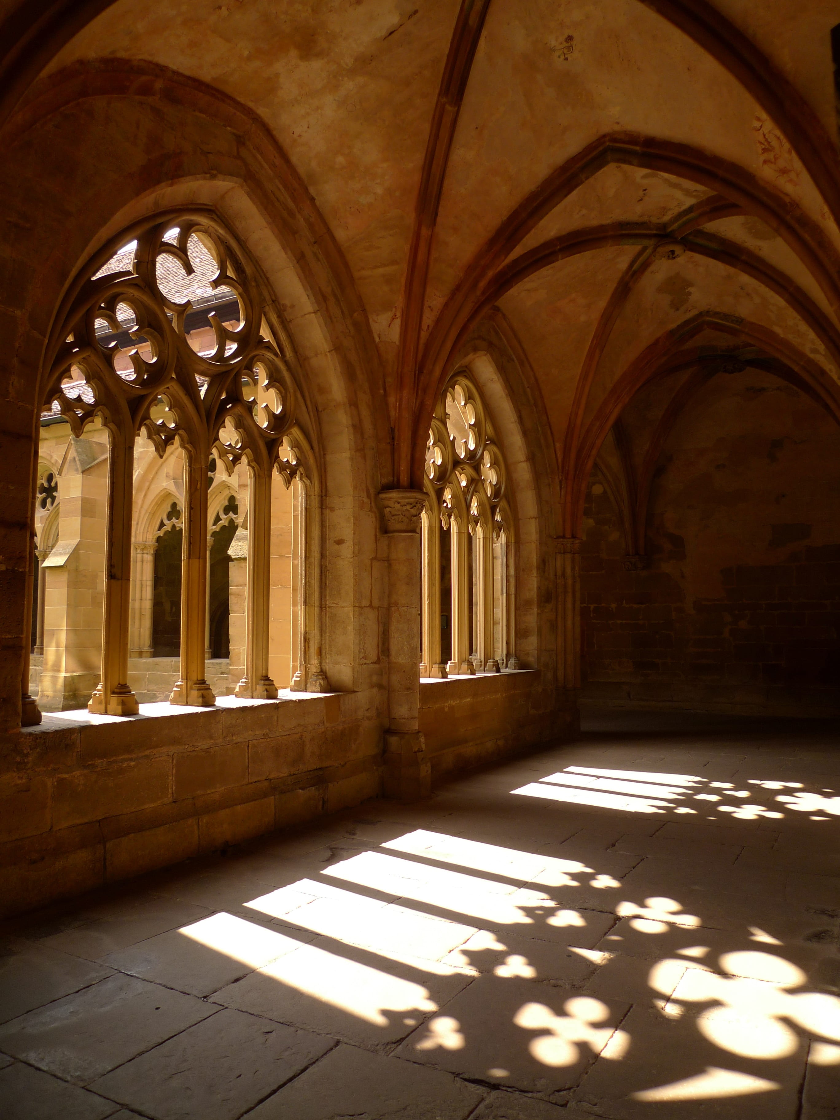 abbey, place of worship, religion, martin luther, the past, history, spirituality, sunlight, light, no people, day, indoors, building, architecture, ornate, Phone HD Wallpaper