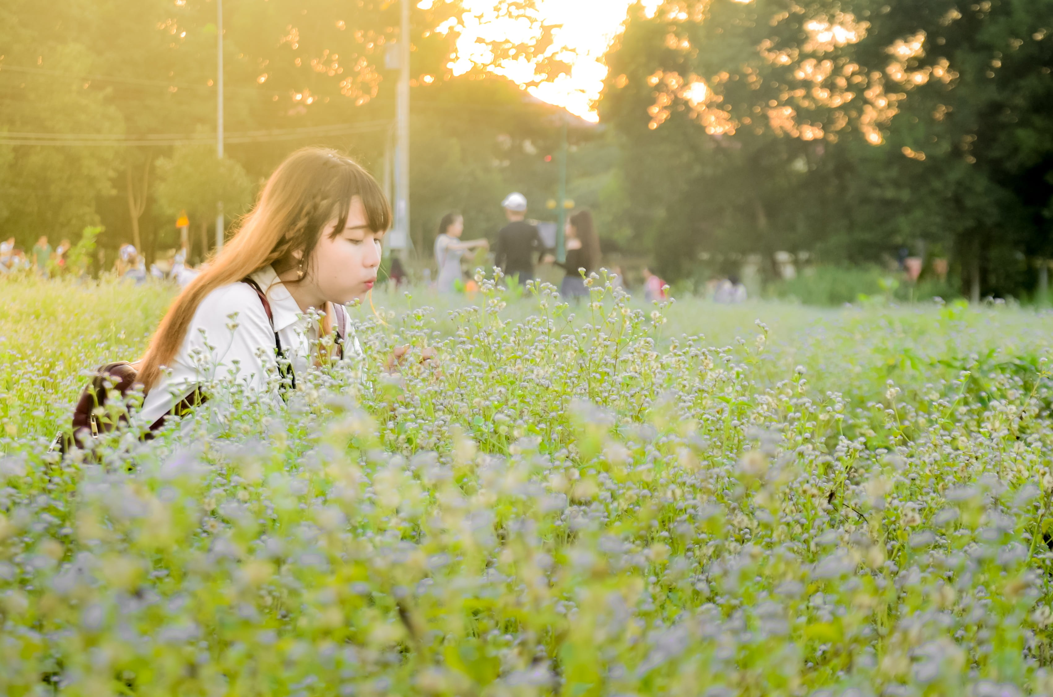 females, outdoors, picture, land, asia, dreaming, 2K, sunny, vietnam, natural, women, portrait, background, flower reform, nature, side view, child, field, HD Wallpaper