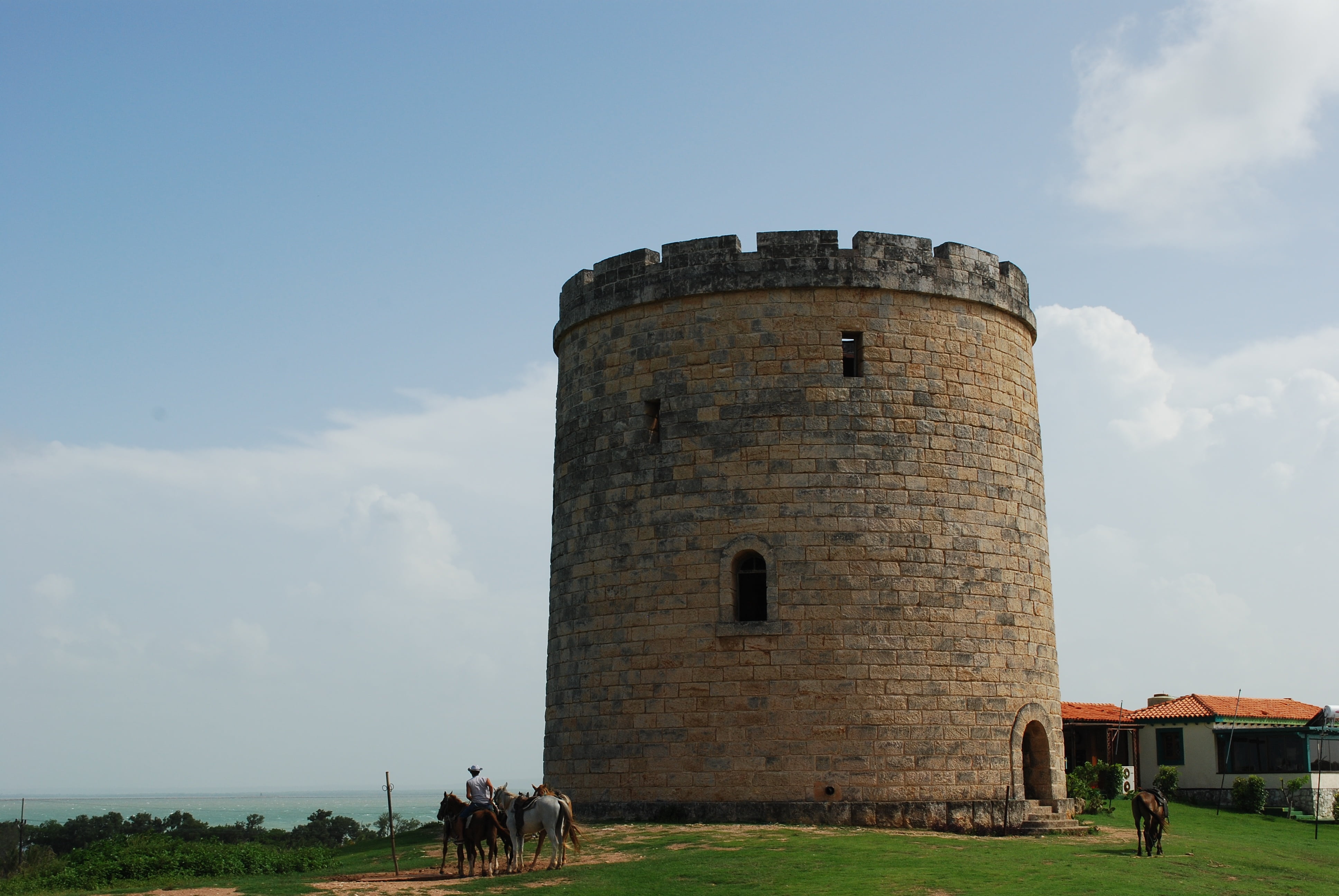 livestock, history, architecture, plant, building exterior, the past, mammal, fortification, sky, built structure, day, nature, novelty, landscape, strong castle, HD Wallpaper