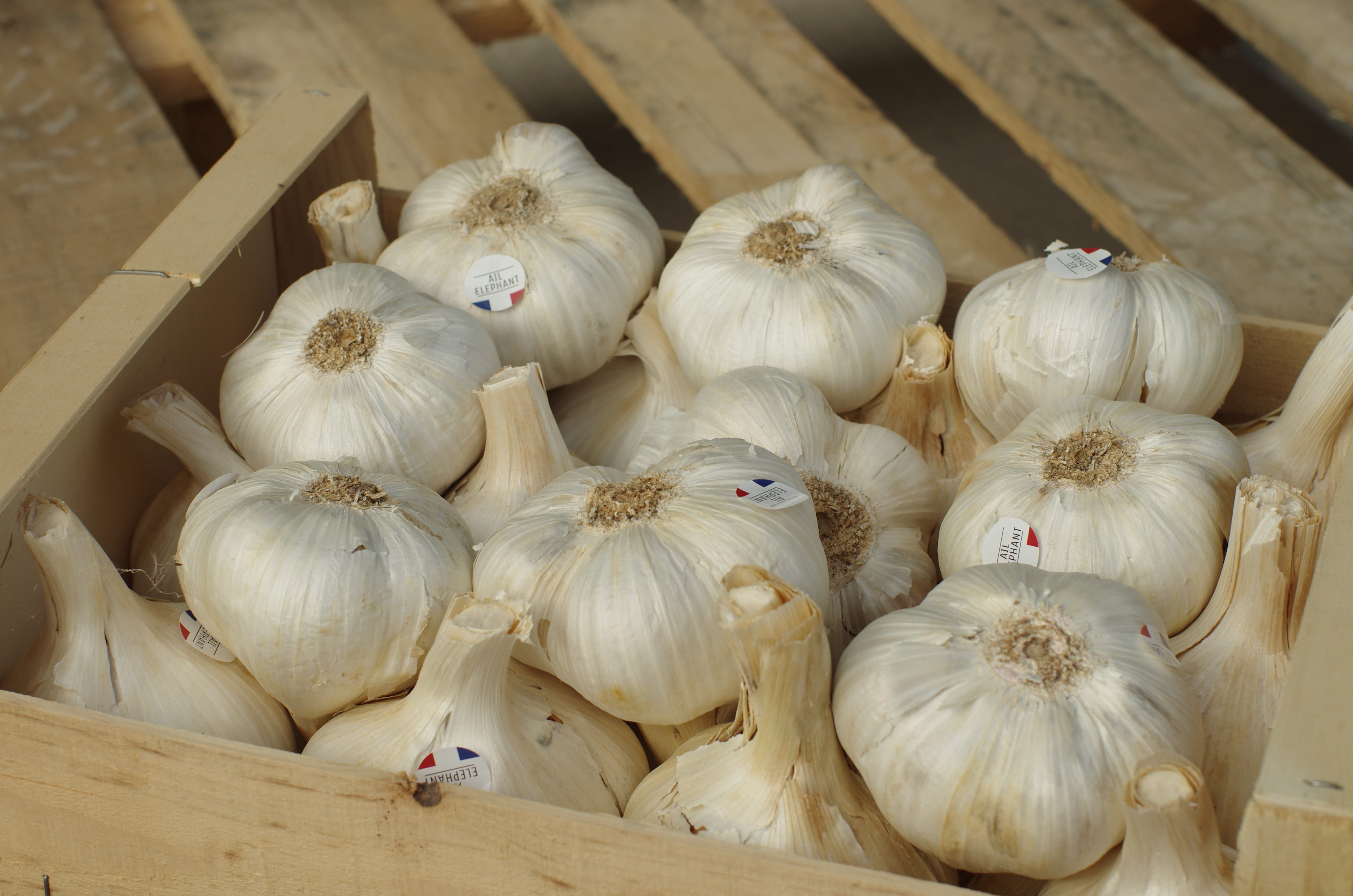4K, food, garlic grown, container, close-up, garlic bulb, vegetable, brown, tray, wooden, kitchen, bulb, rhône alpes, drôme, harvest, lot, indoors, raw food, HD Wallpaper