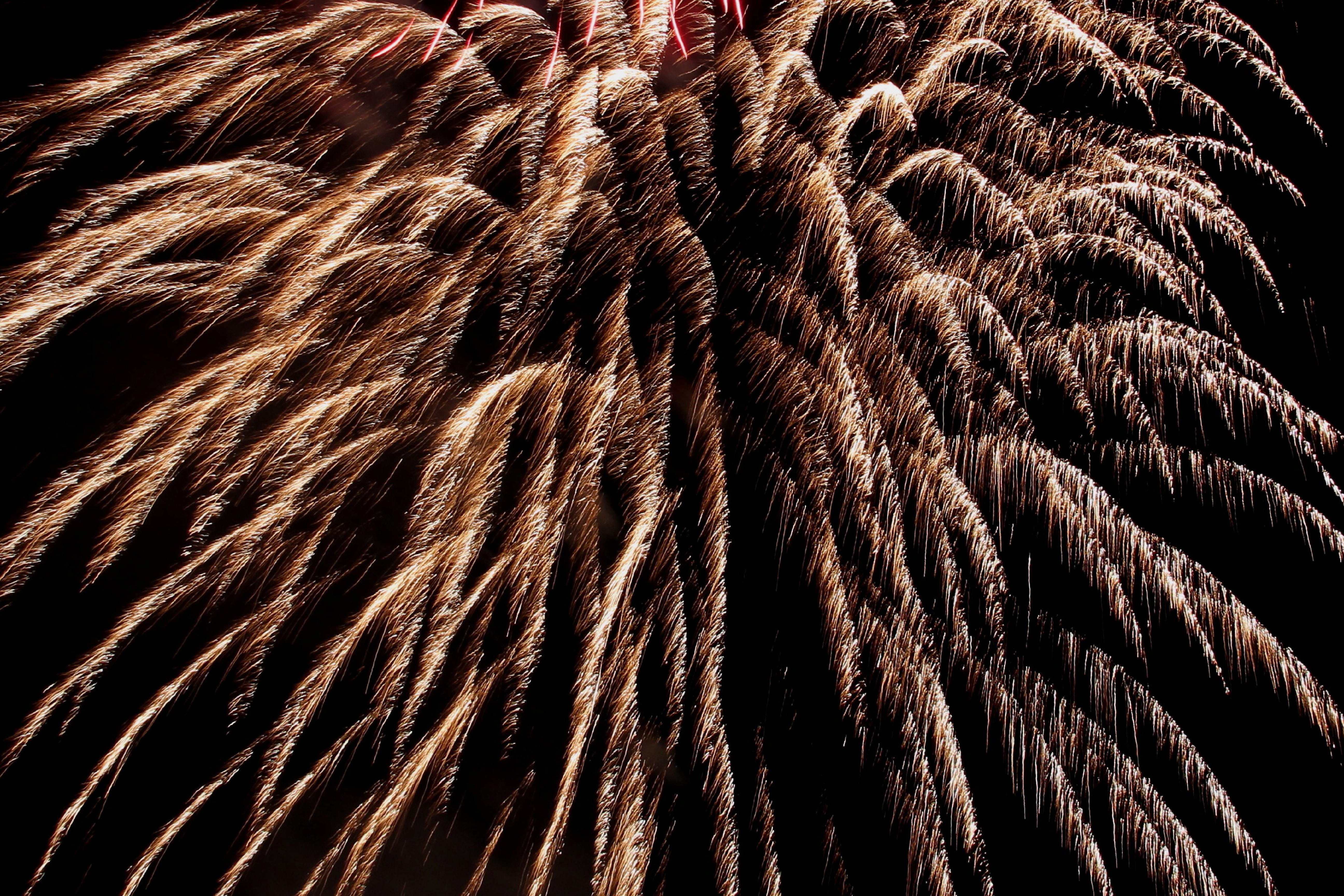 full frame, nature, new year greeting, close-up, night, abundance, textured, outdoors, hair, low angle view, fireworks rocket, mood, background, firework display, HD Wallpaper