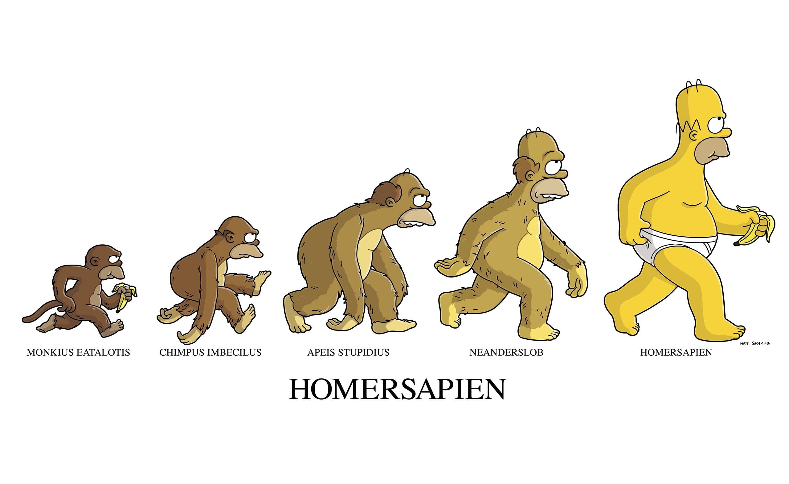 homersapien, representation, Cartoons, celebration, 2K, The Simpsons, studio shot, homer simpson, male likeness, western script, text, funny, creativity, HD Wallpaper