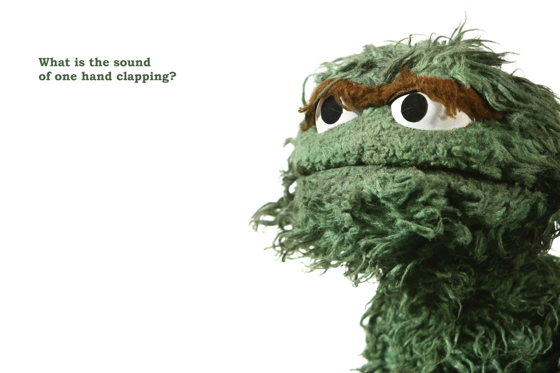 animal themes, white background, Sesame Street, green, copy space, bird, animal, no people, art and craft, Oscar (Sesame Street), studio shot, text, representation, HD Wallpaper