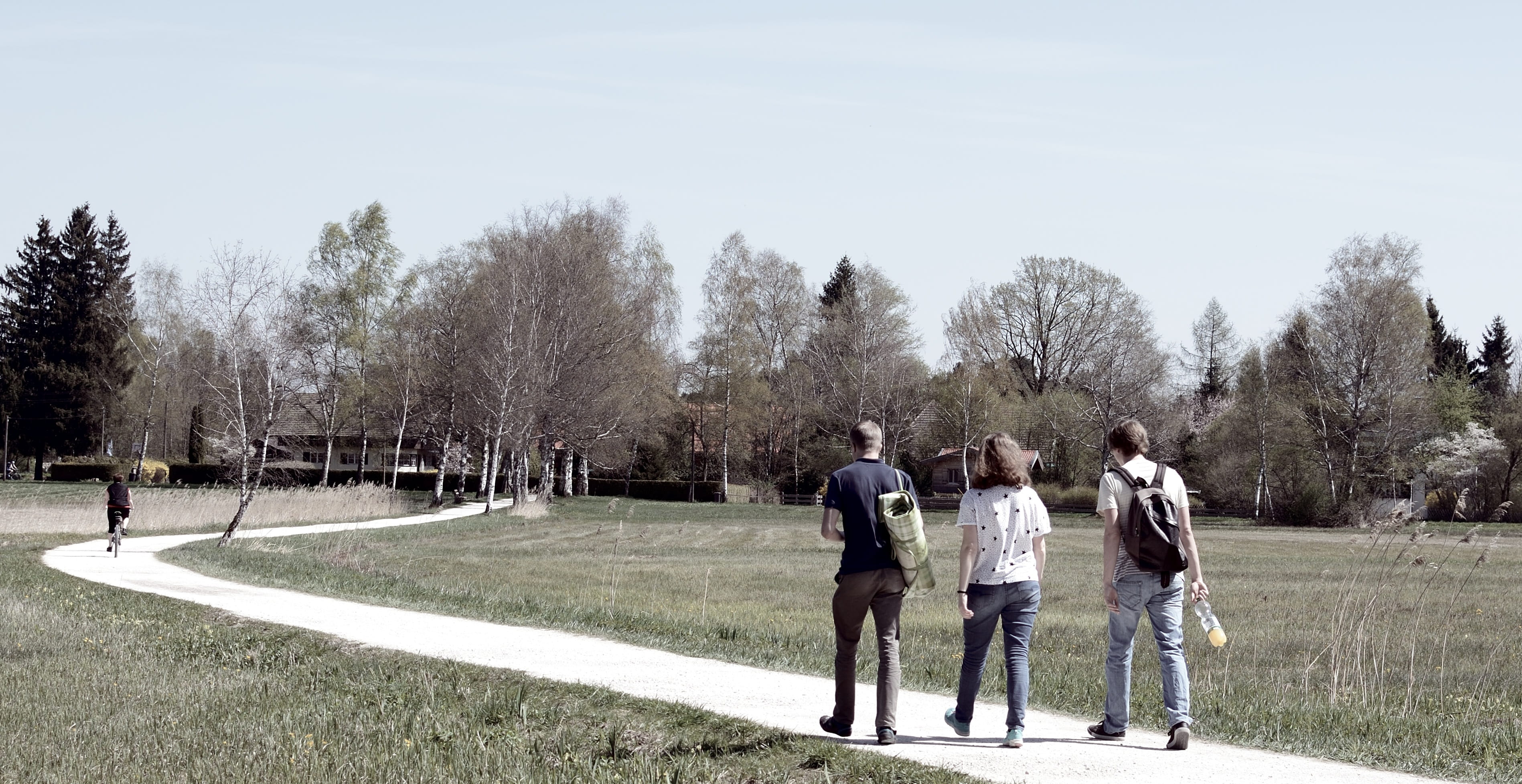 bare, day, young, 2K, walking, personal, trees, lifestyles, full length, real people, person, time, live, women, nature, go, walk, group, standing, together, HD Wallpaper