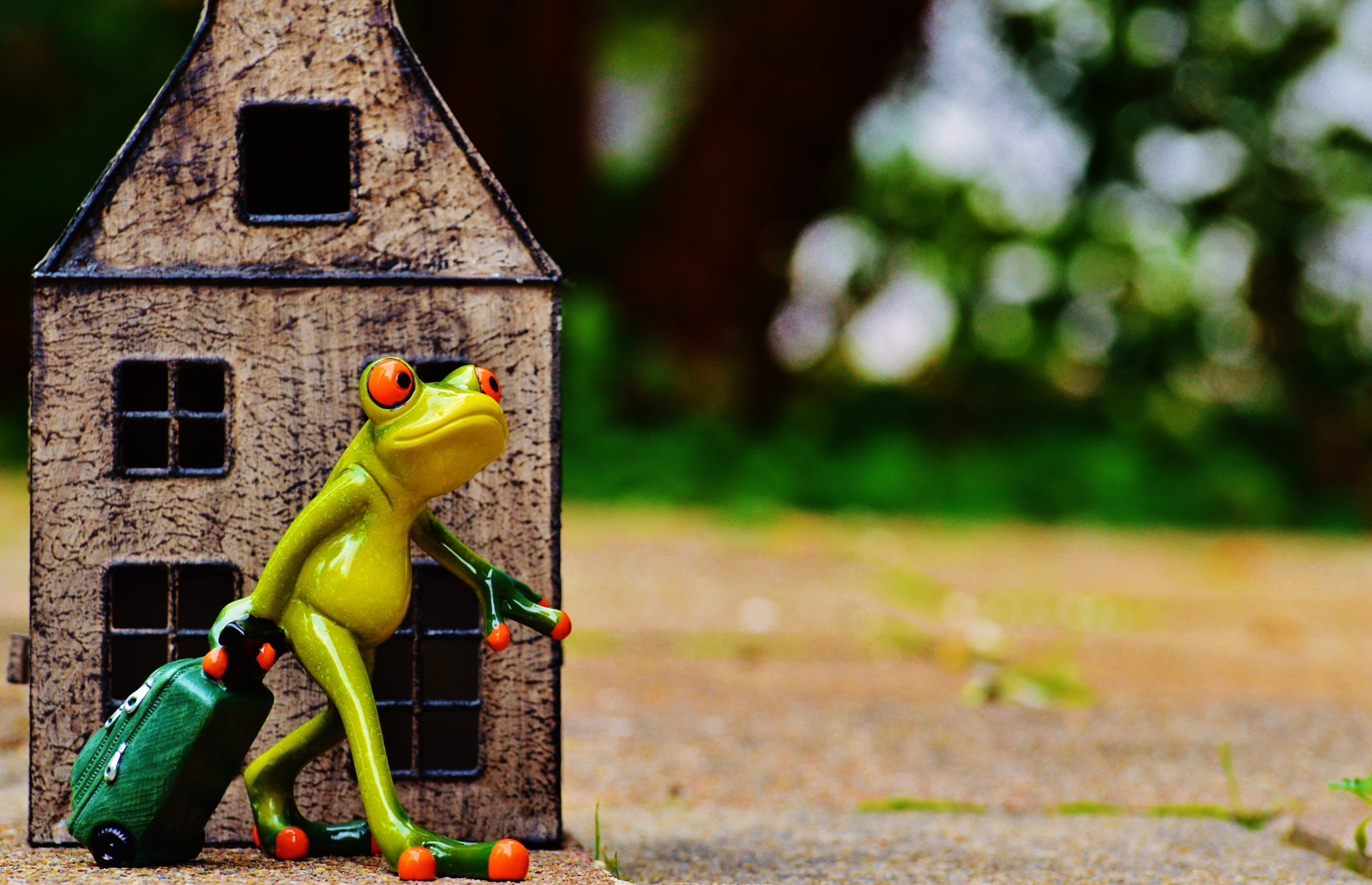 sunlight, nature, holdall, day, human representation, built structure, fun, on the go, animal, no people, cute, go away, going, figure, green color, humor, HD Wallpaper