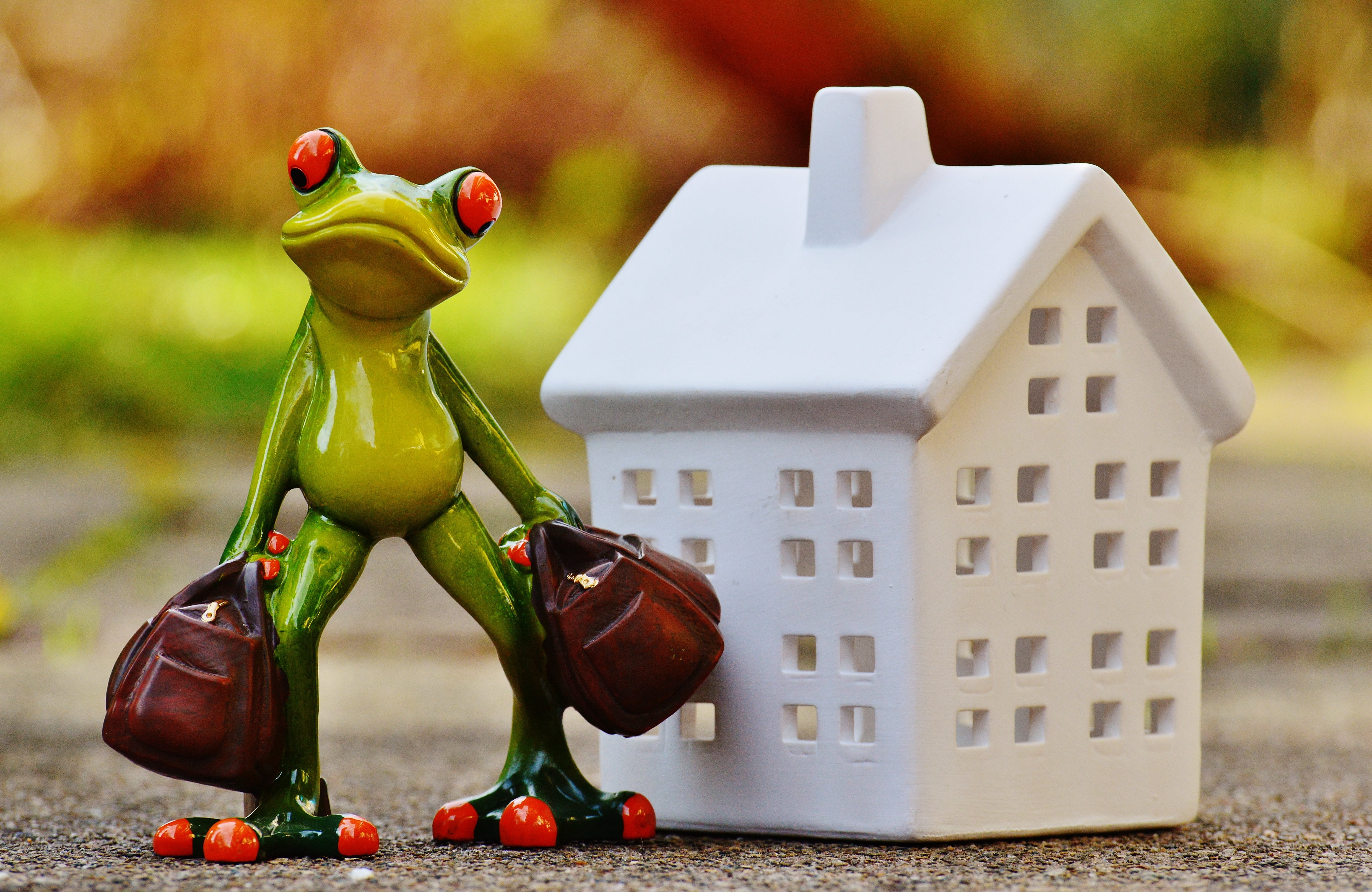 selective, near, animal, time to go, close-up, building, creativity, holiday, house, day, no people, photo, representation, table, focus on foreground, HD Wallpaper